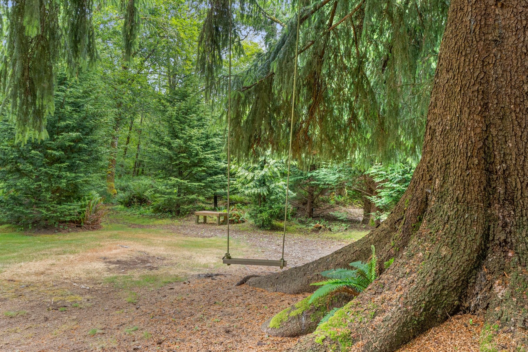  441 Bay Center Rd RD Bay Center, WA 98527 - 物件實景