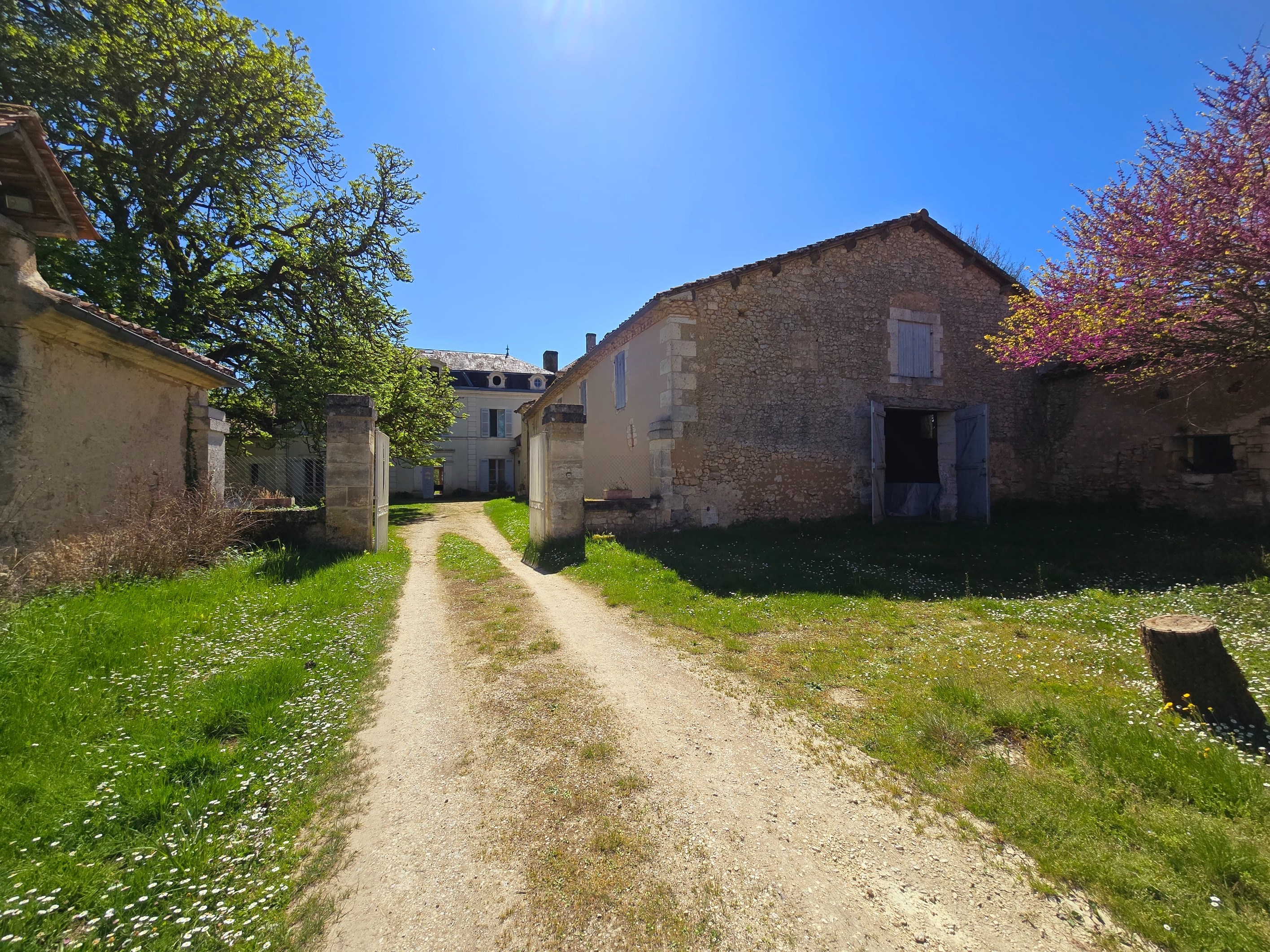  For Sale – Elegance and Art of Living in an 18th Century Château in the Périgord - 物件實景