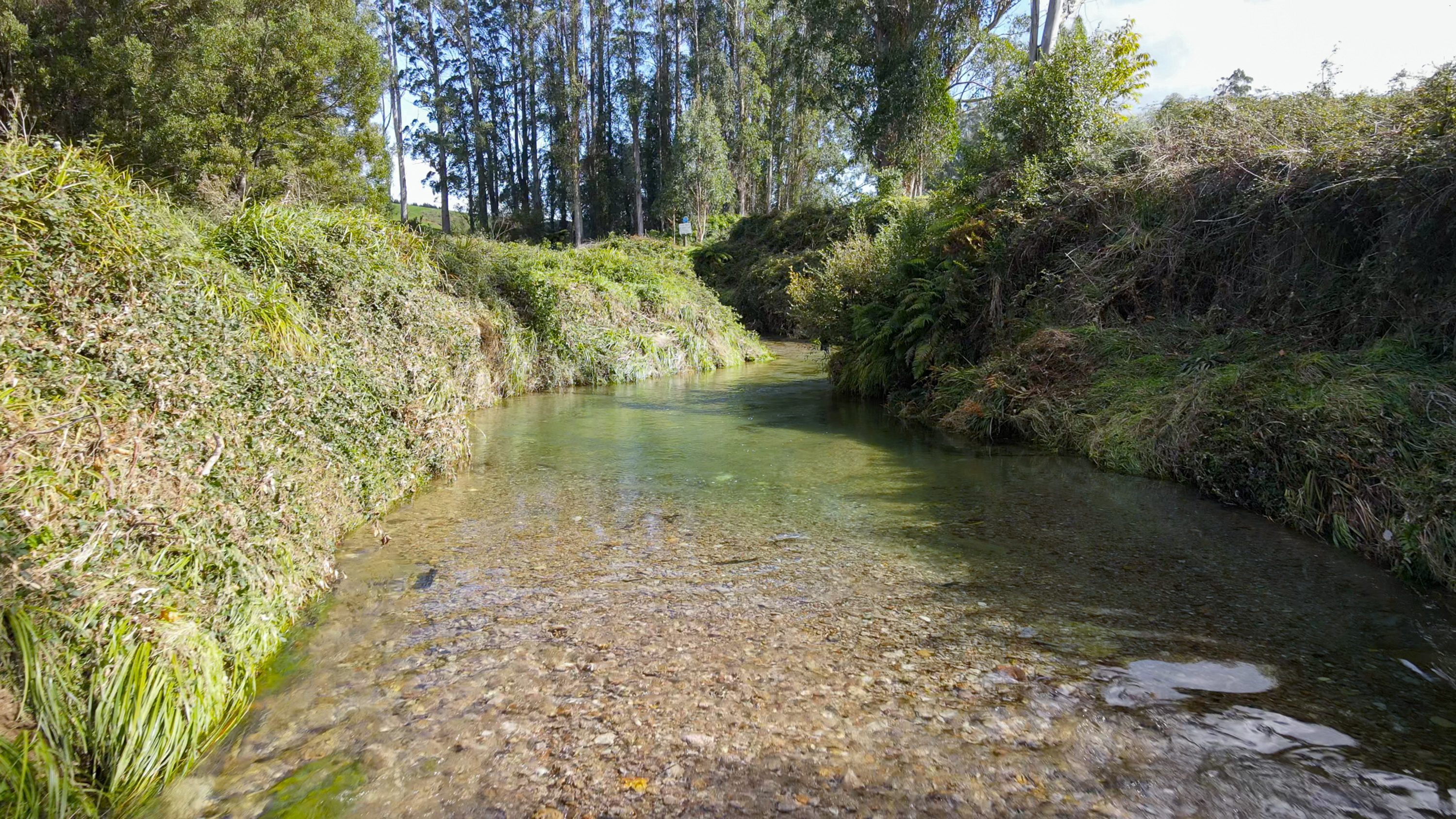  80 Hampson Place, Hamurana - 物件實景