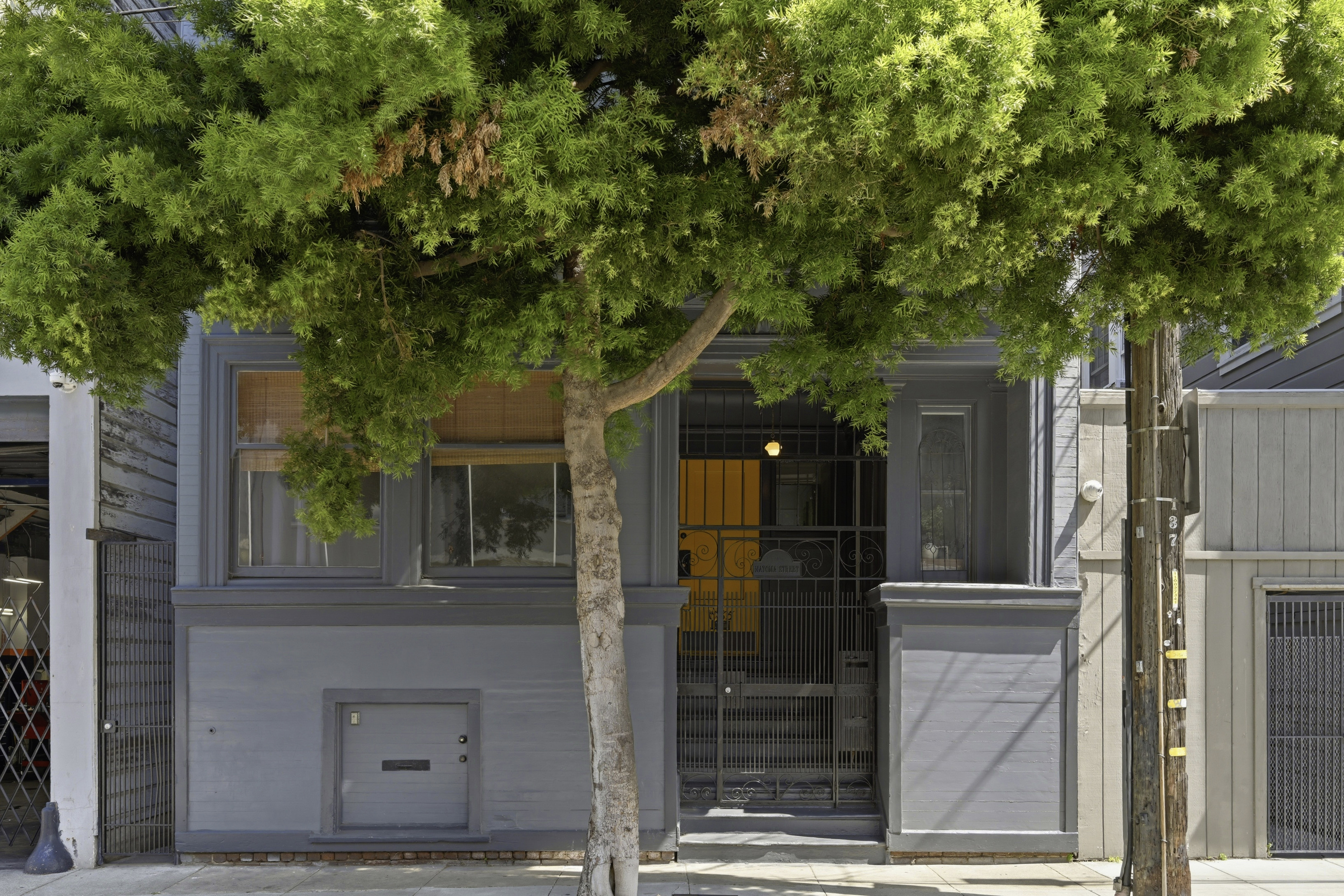  Period Charm Galore  Edwardian in the Mission - 物件實景