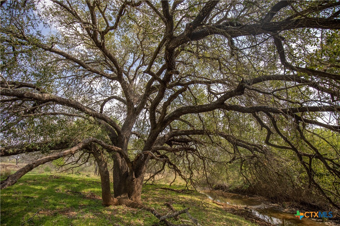 Jourdanton, Texas, 78026, United States, ,Residential,For Sale,1951381