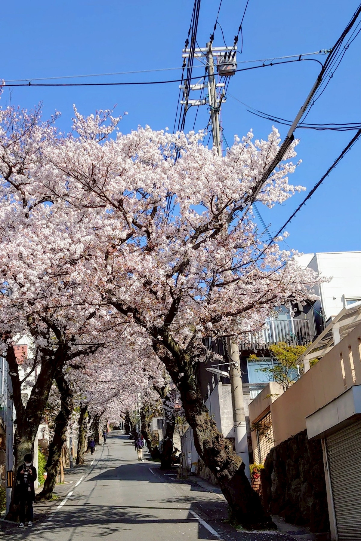  YAKUSHIDORI, NADA-KU, KOBE — PRE-OWNED DETACHED HOUSE - 物件實景
