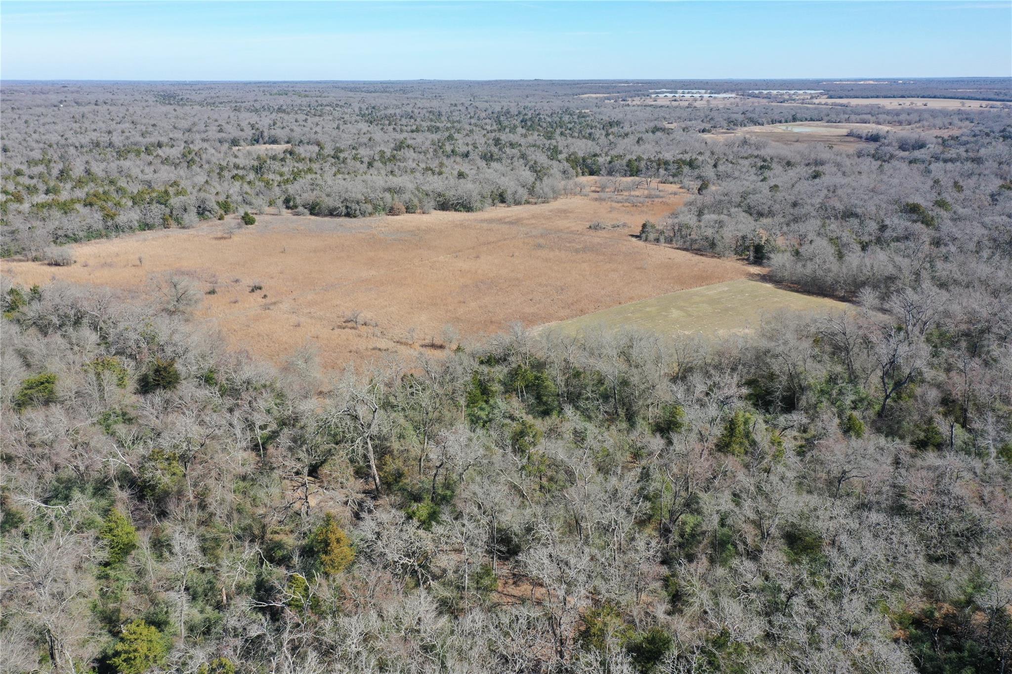 1151 Fowler Road, Bremond, Texas, 76629, United States, ,Land,For Sale,1151 Fowler Road,1621605