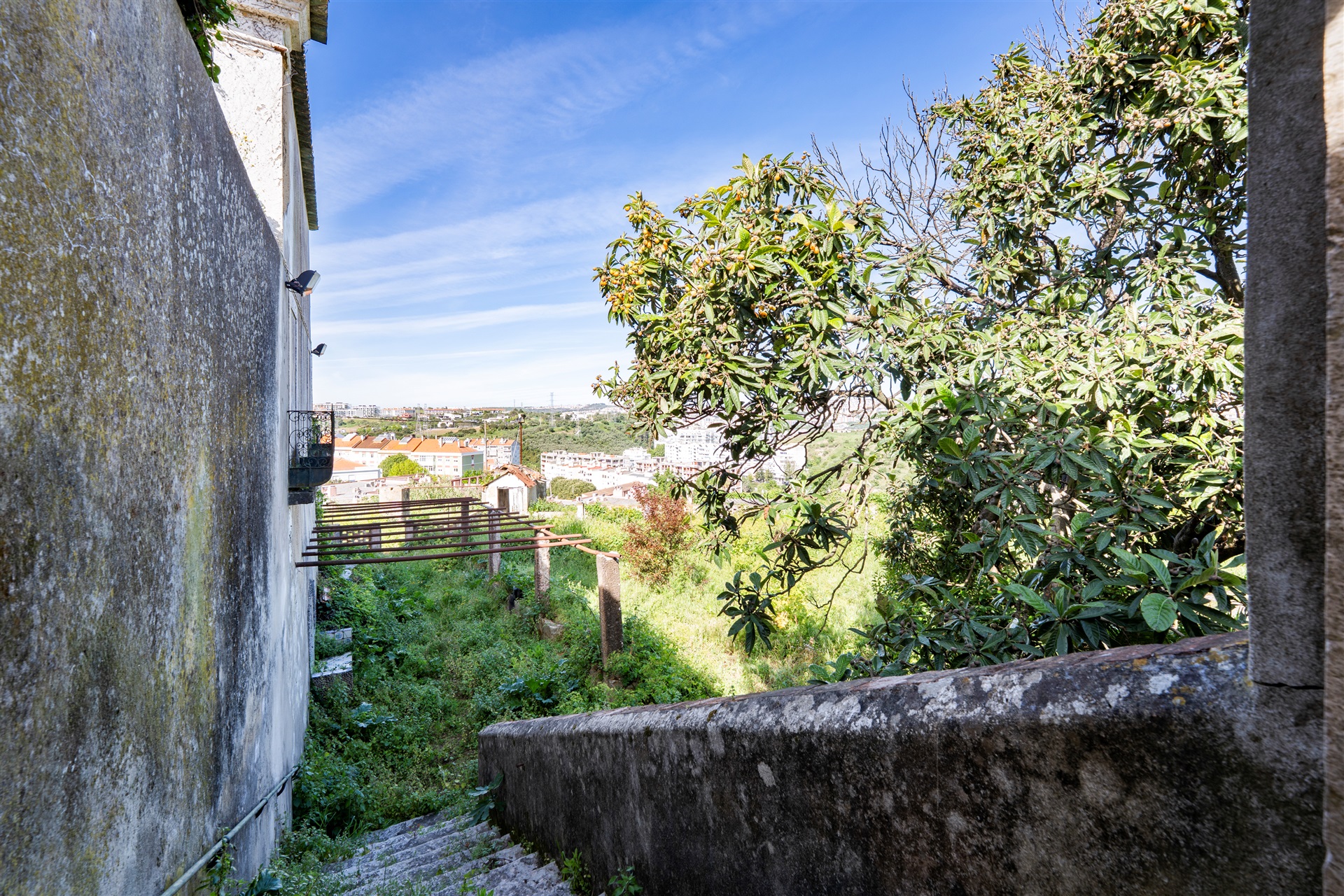  Farm for Sale - 物件實景