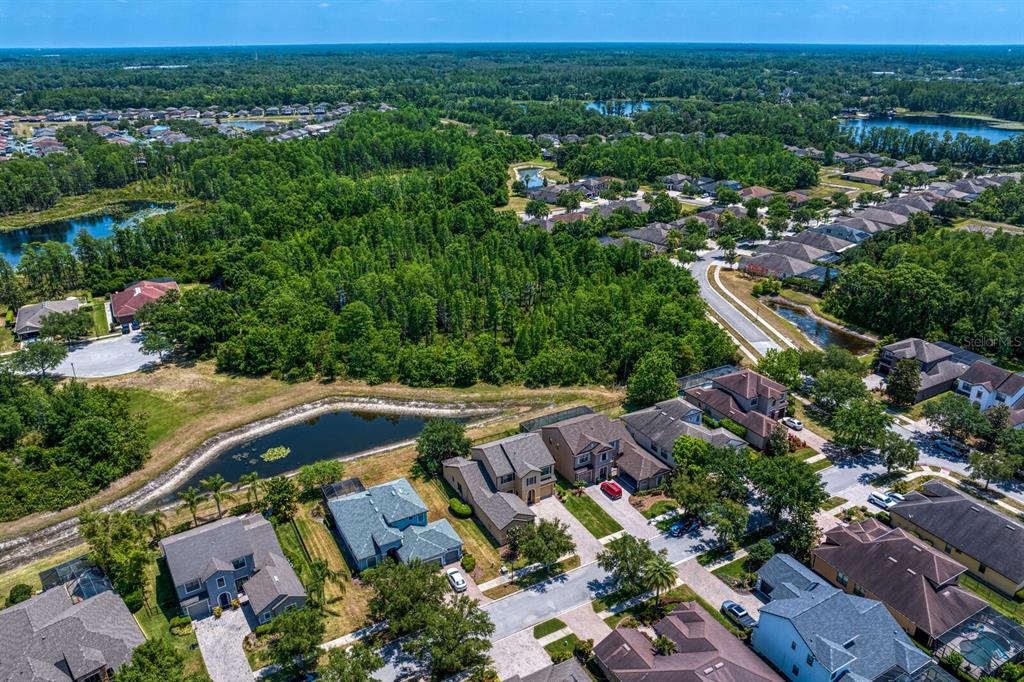 Lutz, Florida, 33558, United States, 4 Bedrooms Bedrooms, ,4 BathroomsBathrooms,Residential,For Sale,1817668