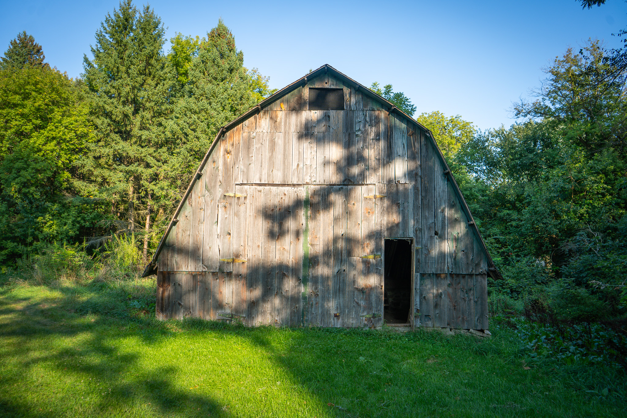 Jackson, Michigan, 49201, United States, 4 Bedrooms Bedrooms, ,2 BathroomsBathrooms,Residential,For Sale,1981022