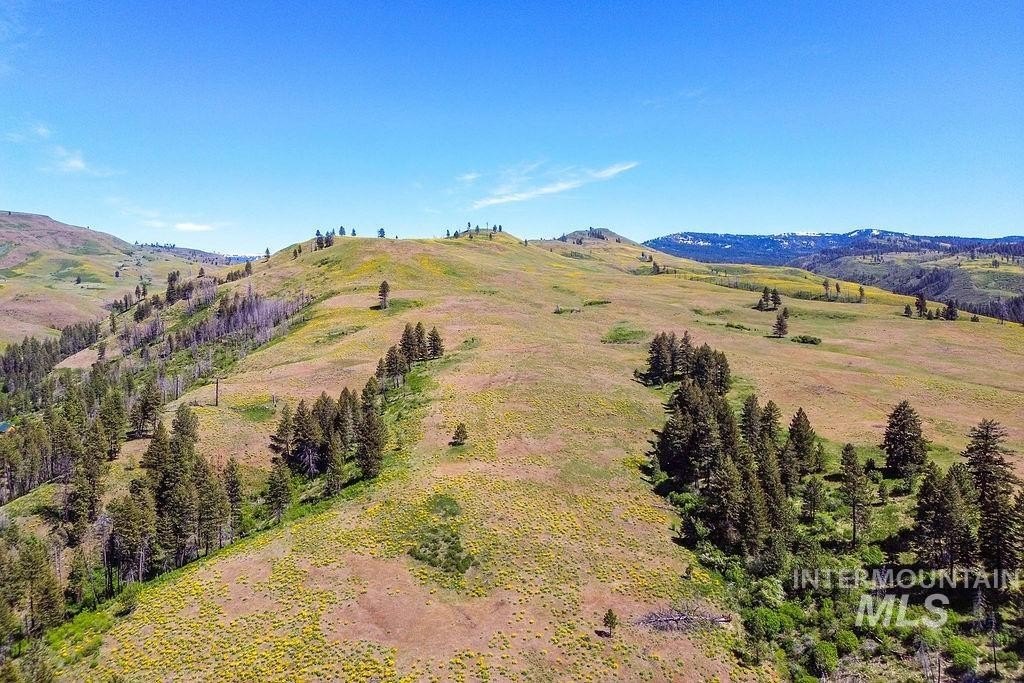 Council, Idaho, 83612, United States, ,Residential,For Sale,1862004