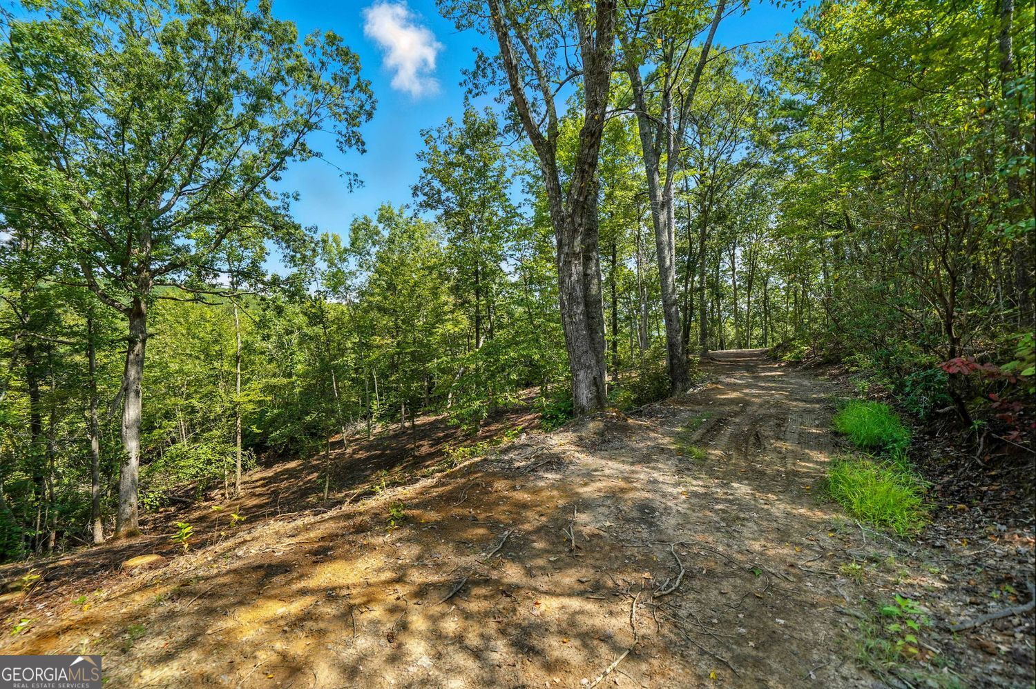 Waleska, Georgia, 30183, United States, ,Land,For Sale,1929808