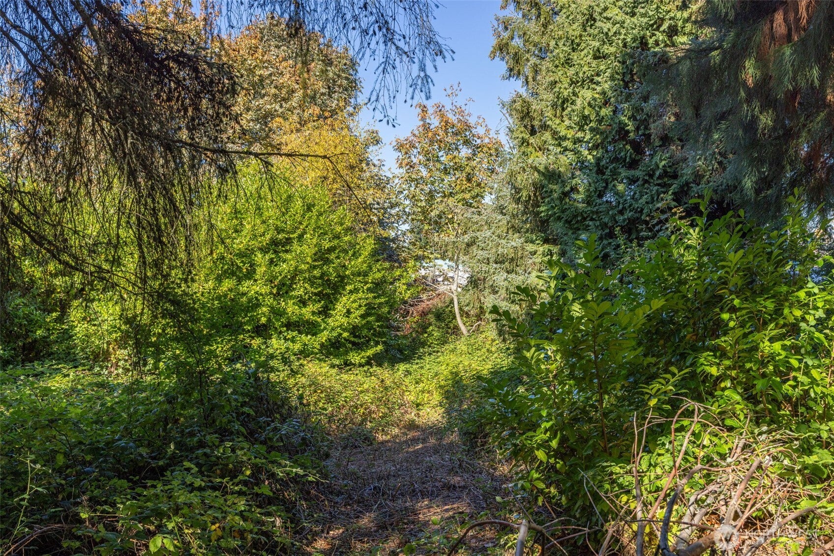 Mukilteo, Washington, 98275, United States, ,Land,For Sale,2006030
