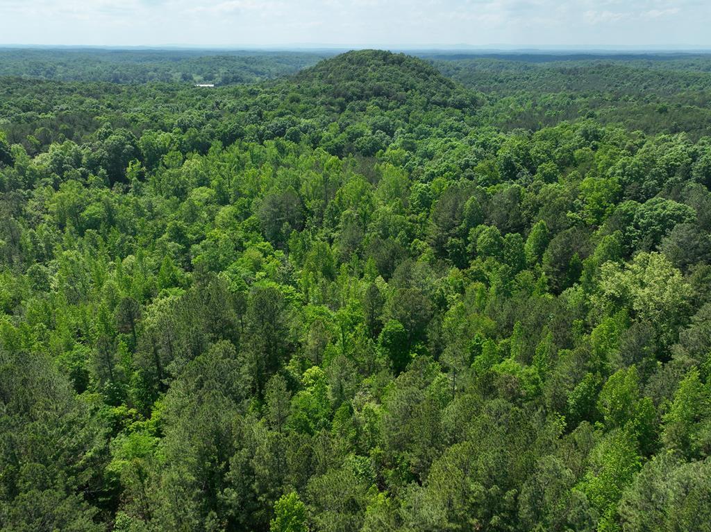 Ranger, Georgia, 30734, United States, ,Residential,For Sale,1924900