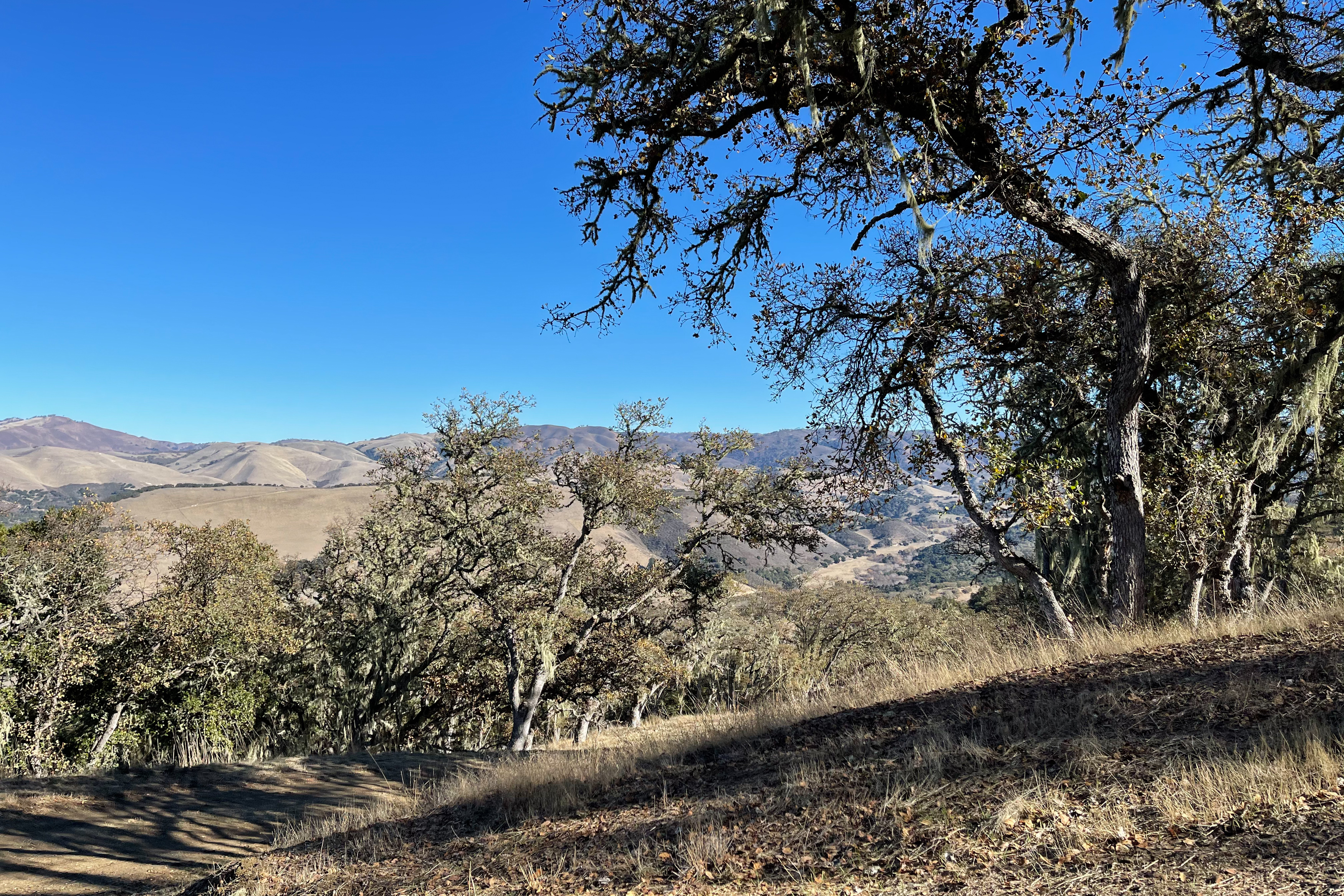  17114 Cachagua Road - 物件實景