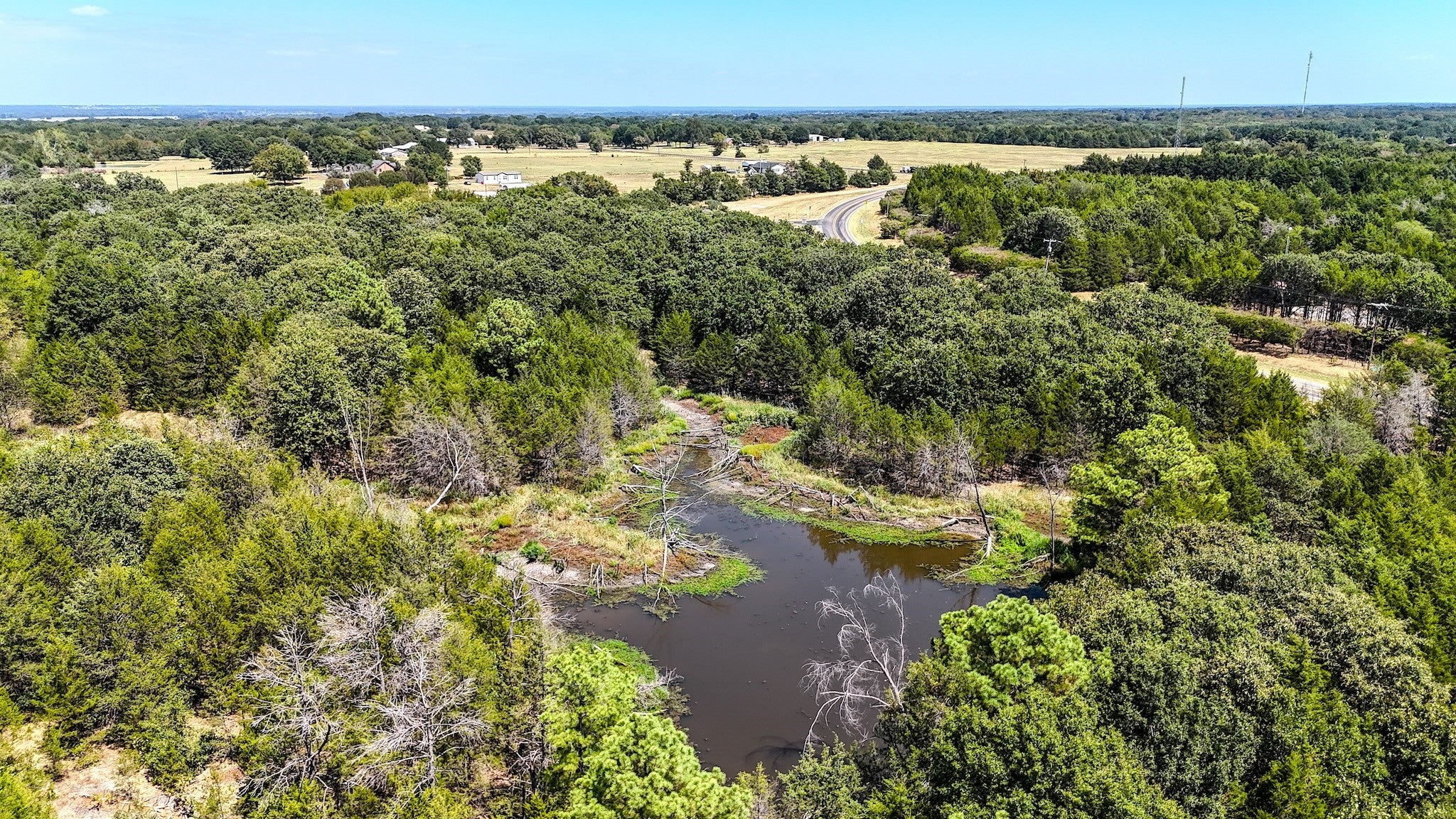 Ivanhoe, Texas, 75447, United States, ,Land,For Sale,1973742
