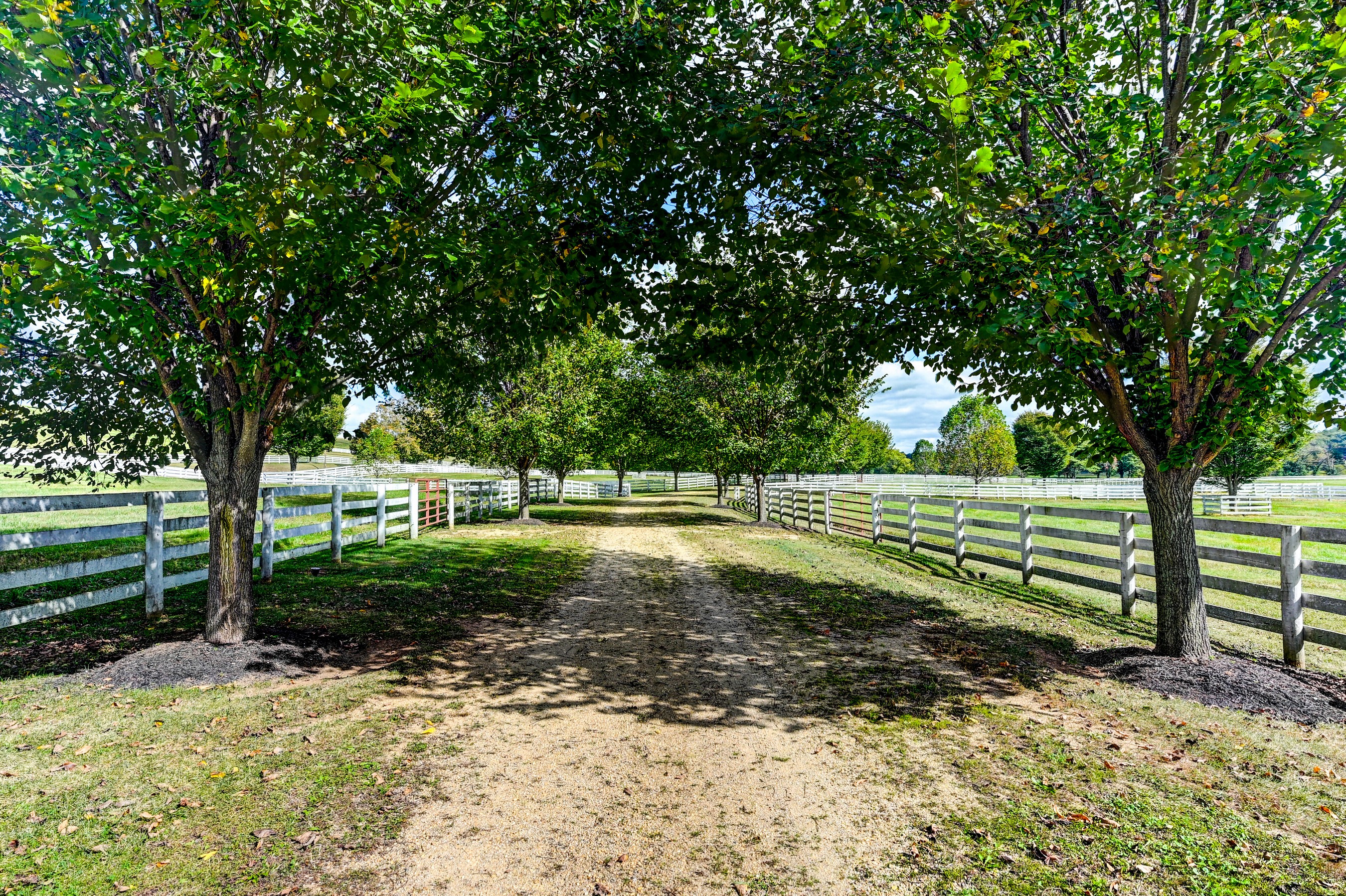  Worthington Valley - 物件實景