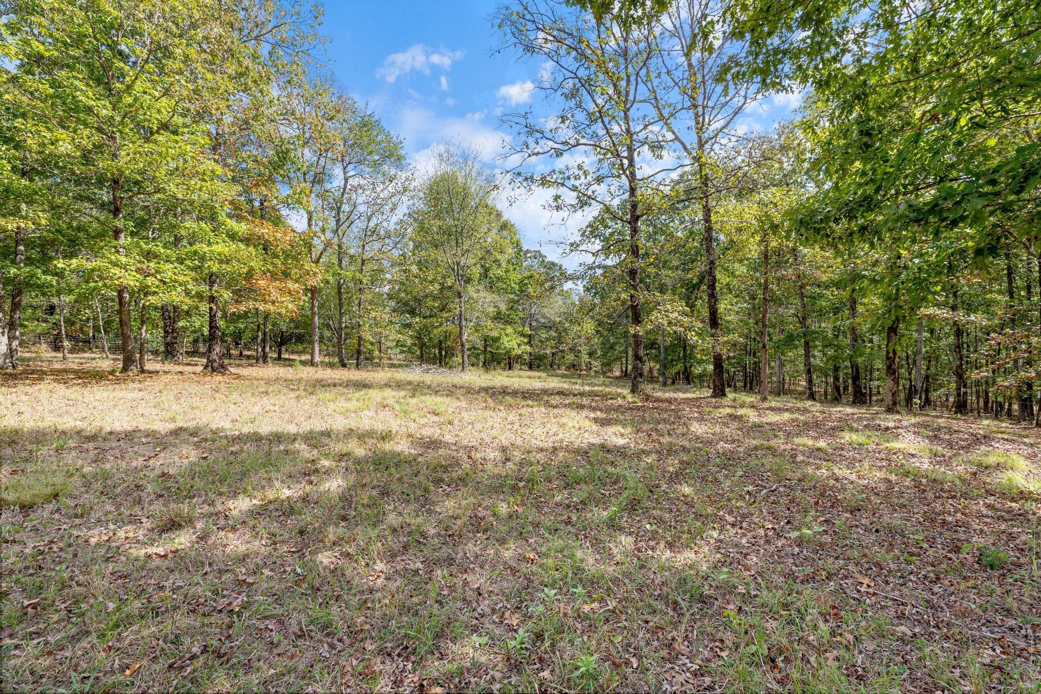 Mc Ewen, Tennessee, 37101, United States, ,Residential,For Sale,1923664