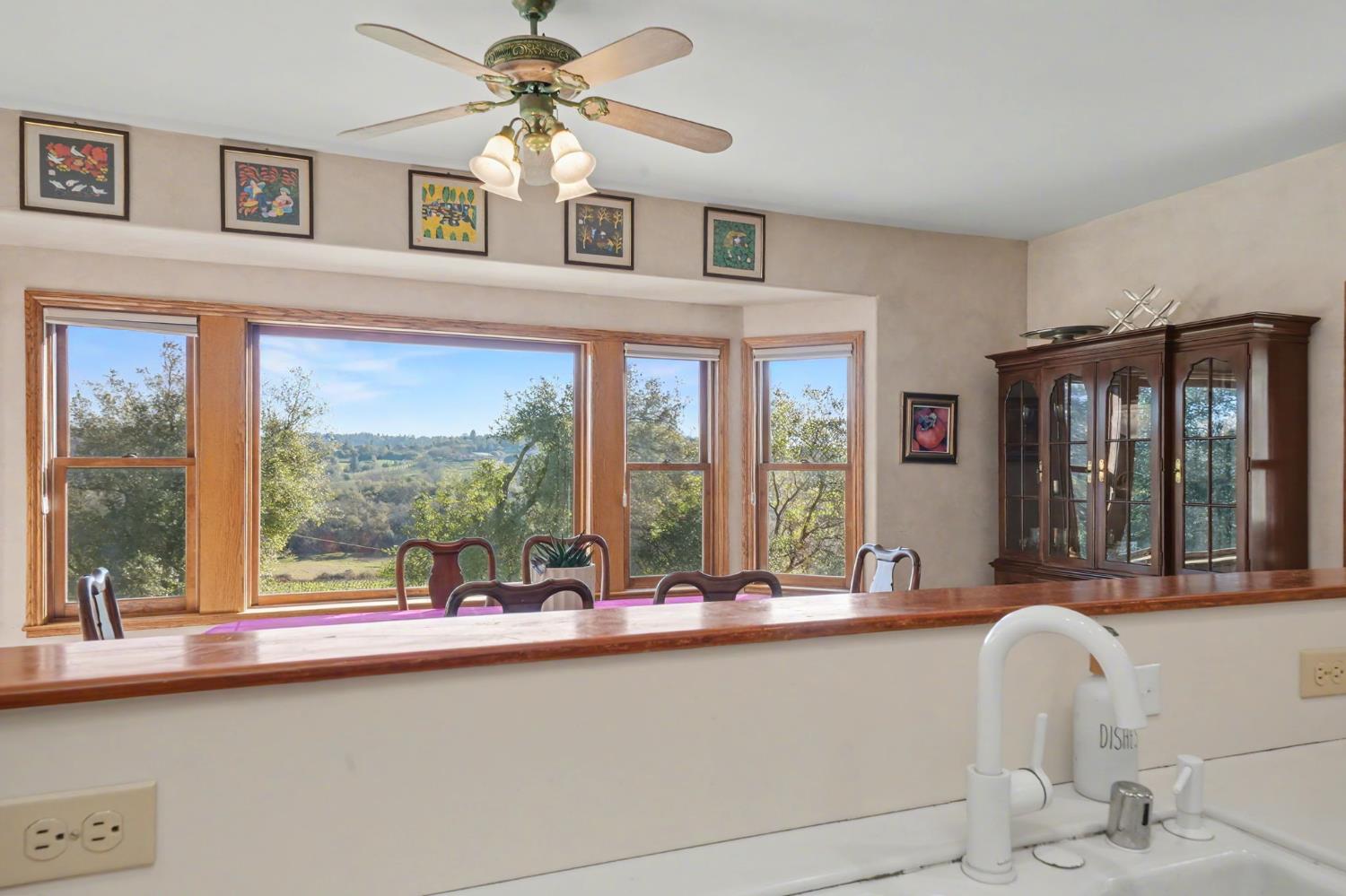 Plymouth, California, 95669, United States, 3 Bedrooms Bedrooms, ,3 BathroomsBathrooms,Residential,For Sale,1979143