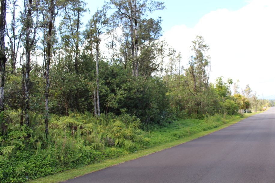 Keaau, Hawaii, 96749, United States, ,Land,For Sale,1977941