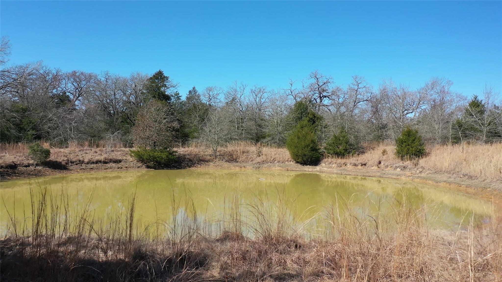 1151 Fowler Road, Bremond, Texas, 76629, United States, ,Land,For Sale,1151 Fowler Road,1621605