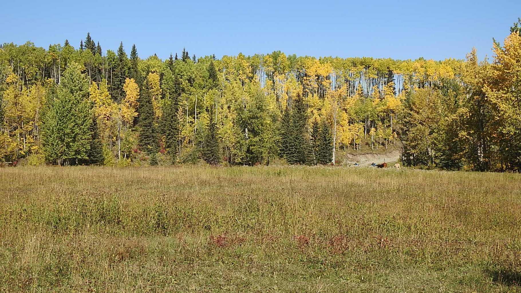 RURAL FOOTHILLS COUNTY, Alberta, T0L 1K0, CA, ,Residential,For Sale,1836944