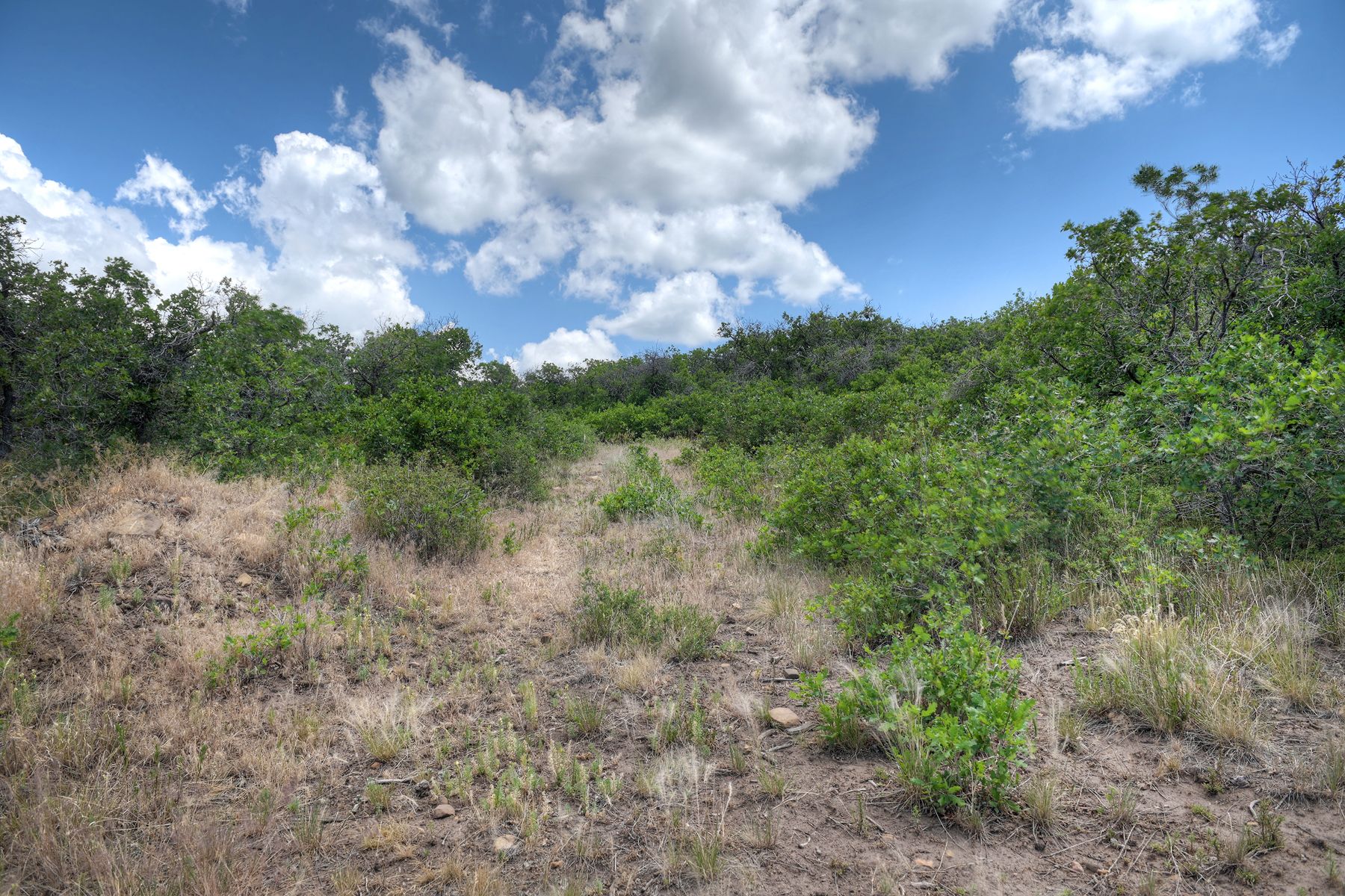  TBD Cross Creek Road, Hesperus, CO 81326 - 物件實景