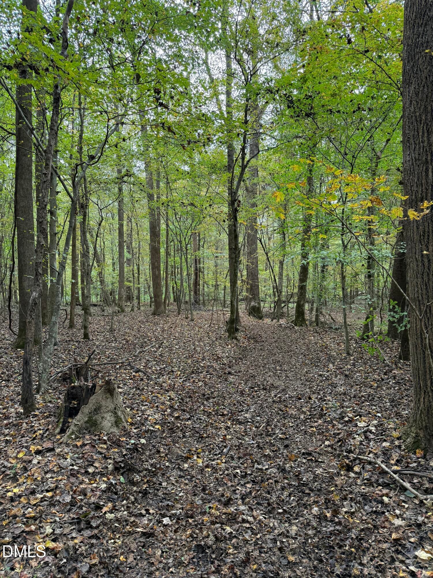 Oxford, North Carolina, 27565, United States, ,Land,For Sale,2000467