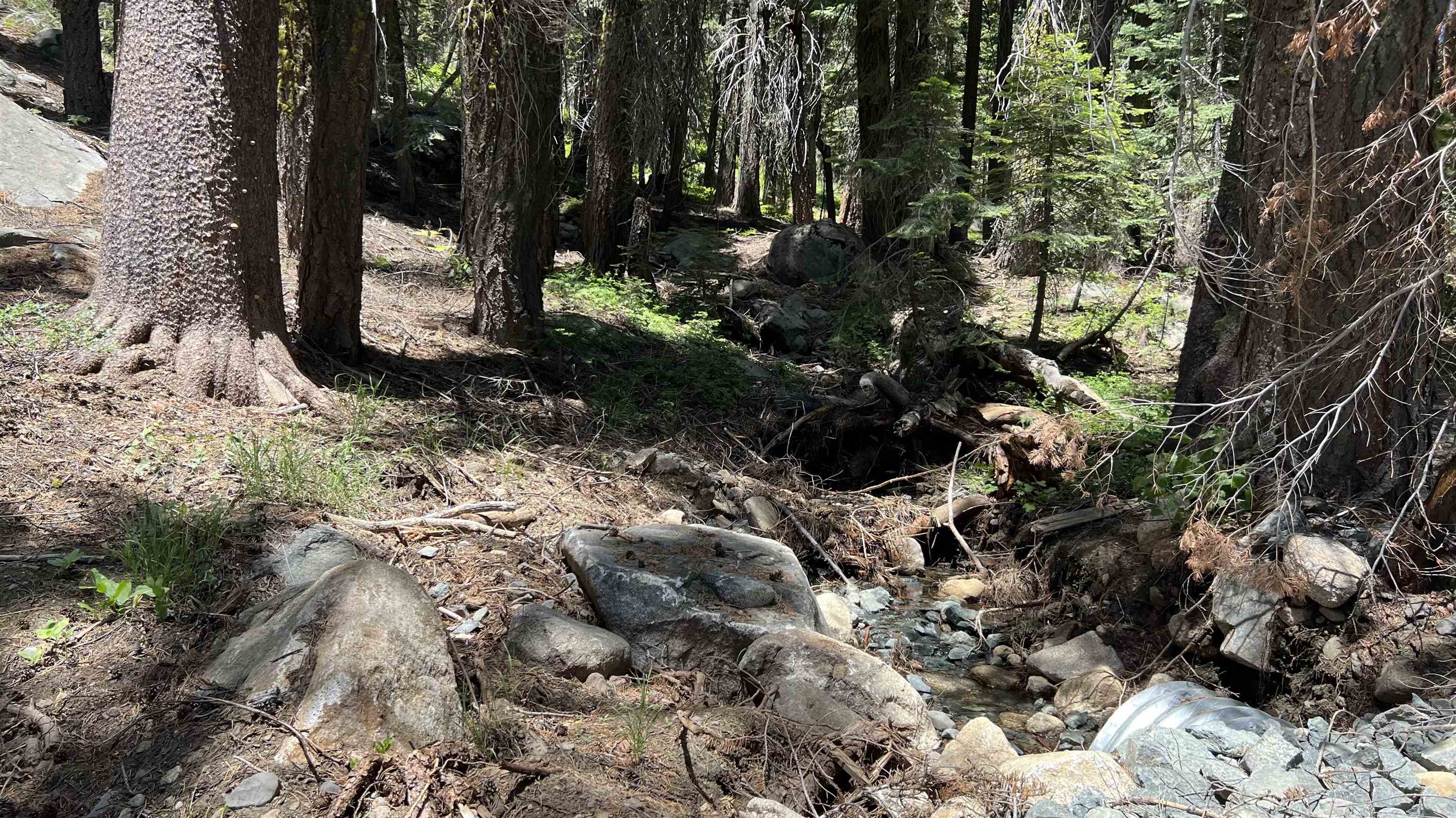 Soda Springs, California, 95728, United States, ,Land,For Sale,1998157