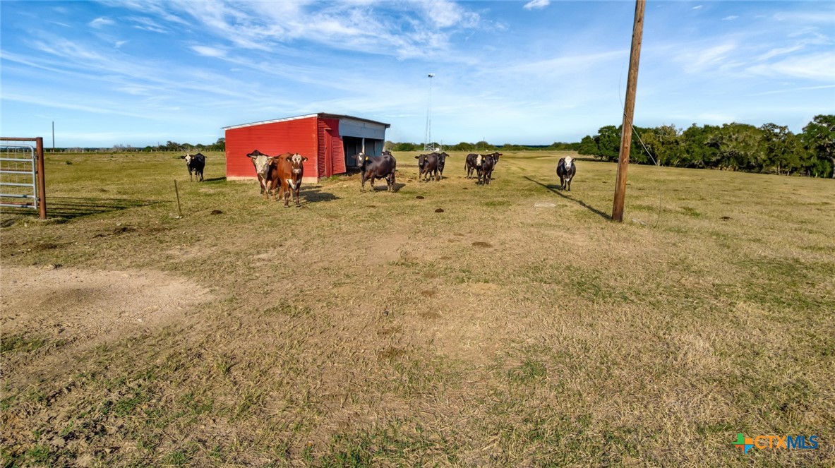 Hallettsville, Texas, 77964, United States, ,Land,For Sale,1989660
