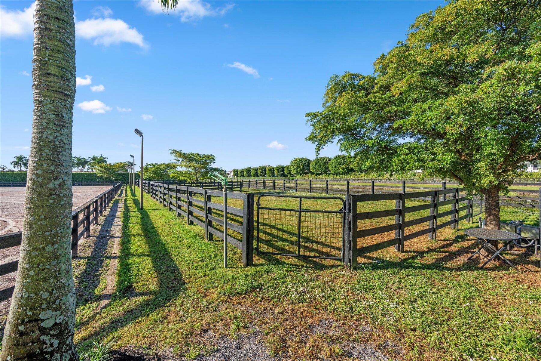  3601 Grand Prix Farms Drive - 物件實景