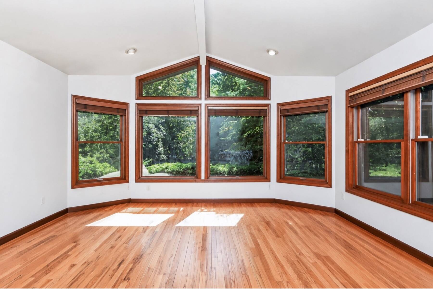  Light-Filled Contemporary in Clearwater - 物件實景