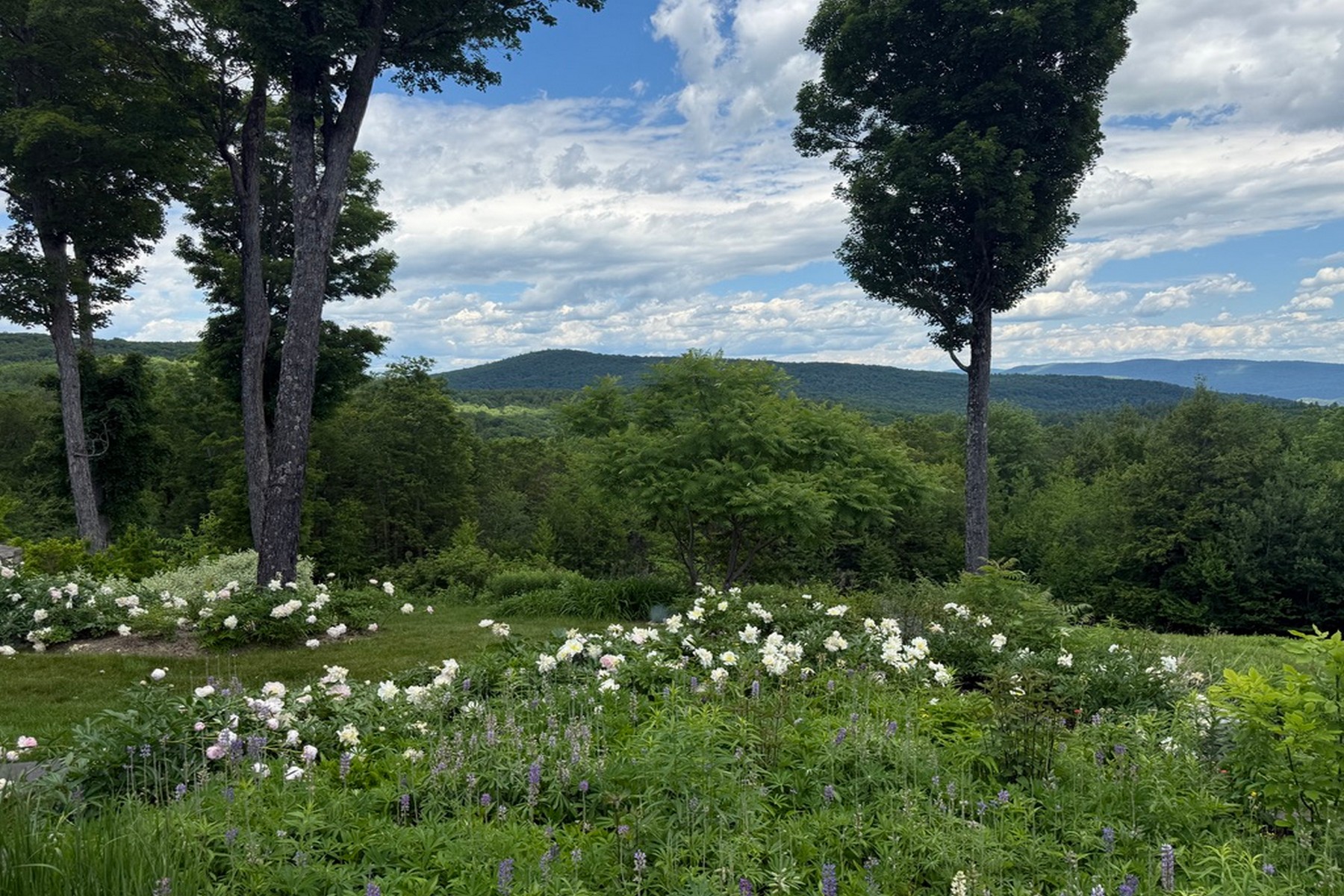  816 Black Bear Road - 物件實景
