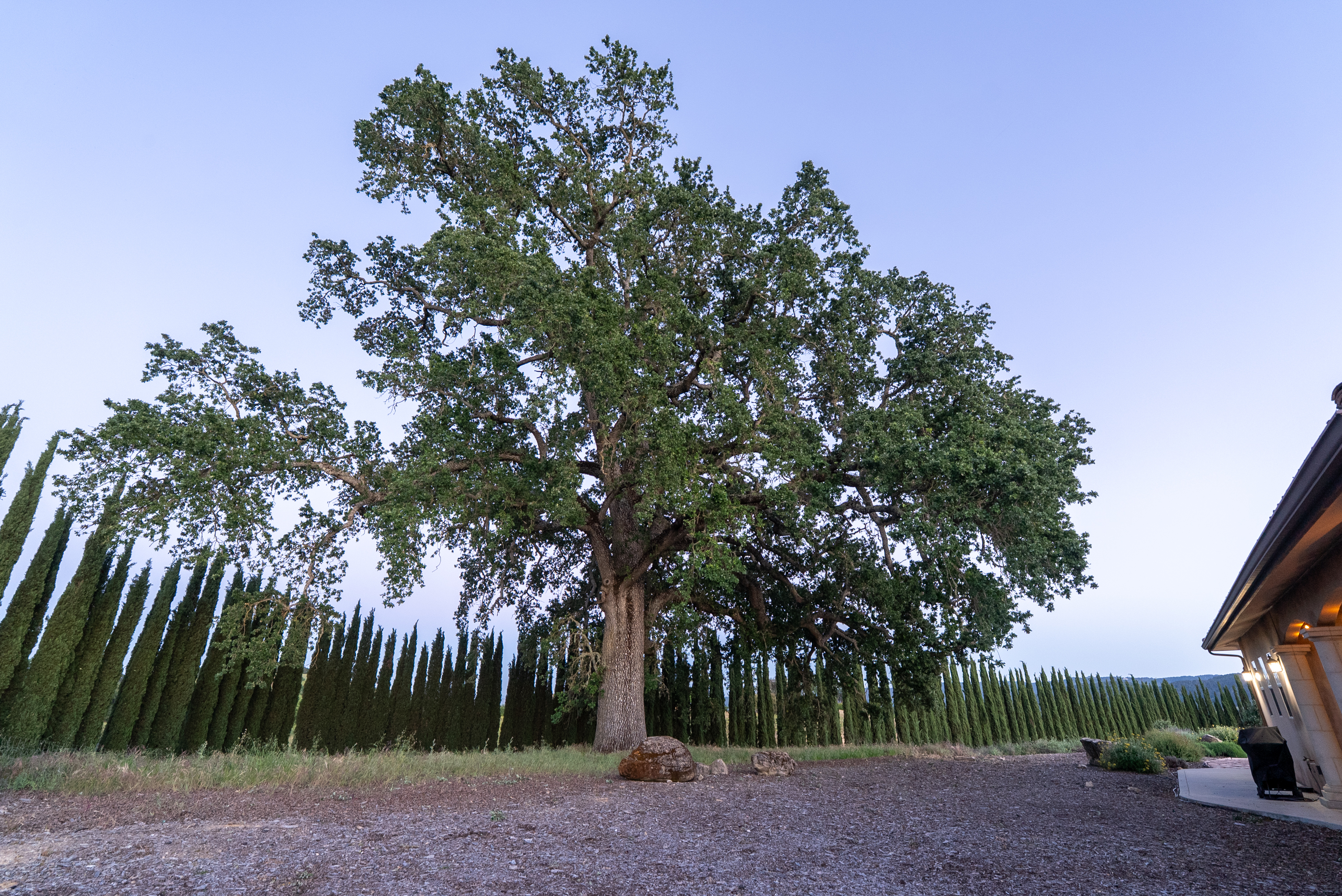  5250 & 5260 - 物件實景
