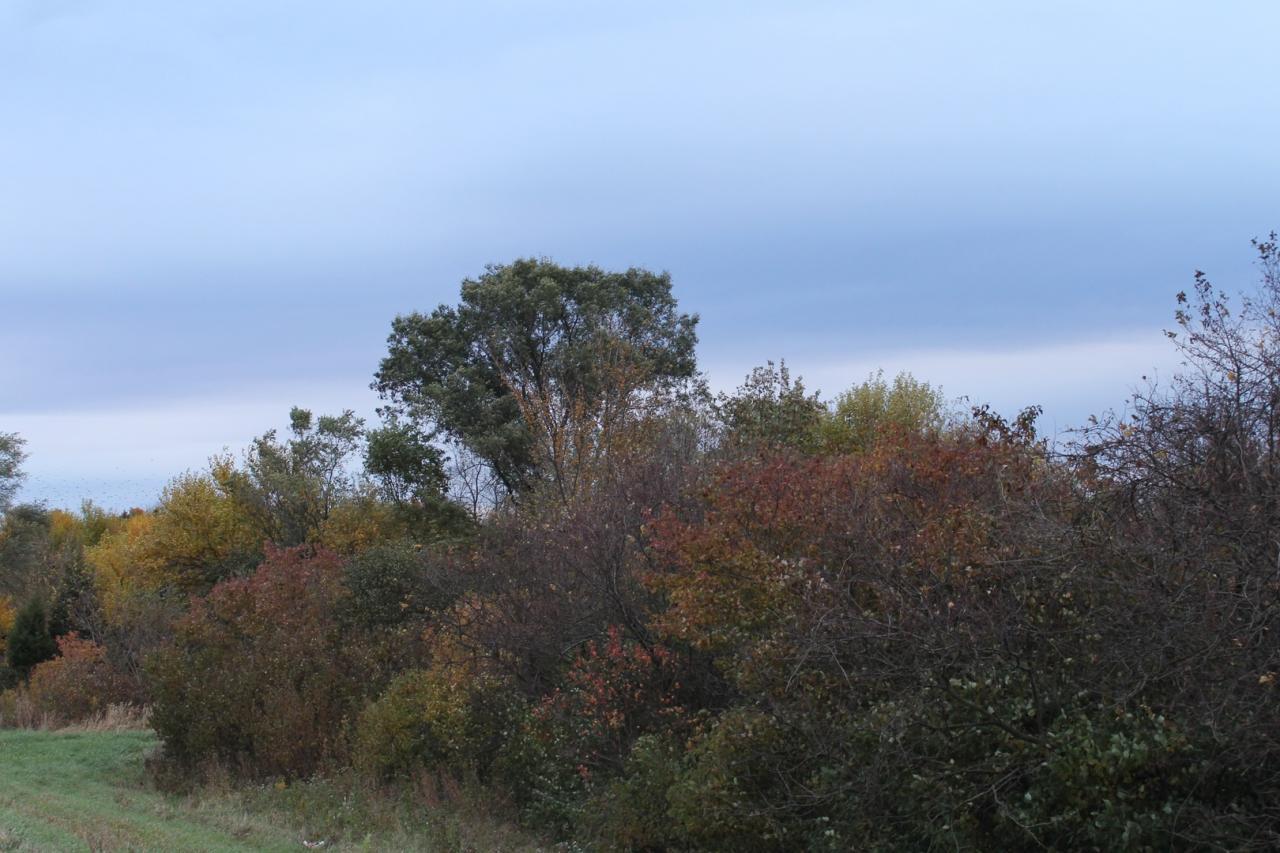 Elburn, Illinois, 60119, United States, ,Land,For Sale,1900855