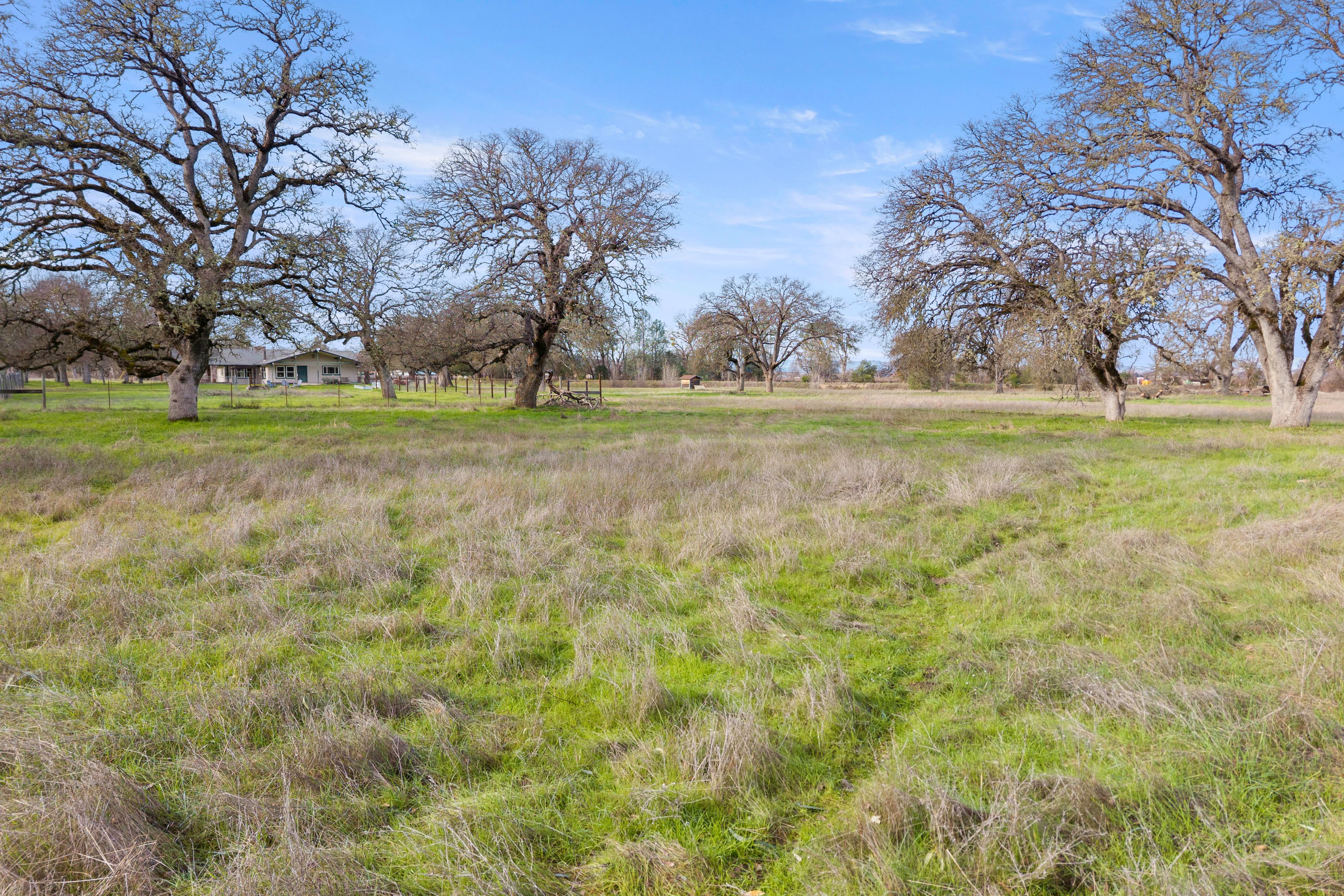  4962 Gaddy Lane - 物件實景