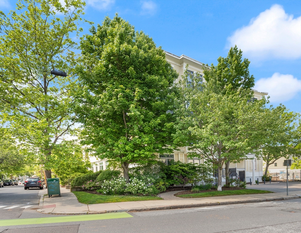 Somerville, Massachusetts, 02143, United States, 1 Bedroom Bedrooms, ,1 BathroomBathrooms,Residential,For Sale,1911108