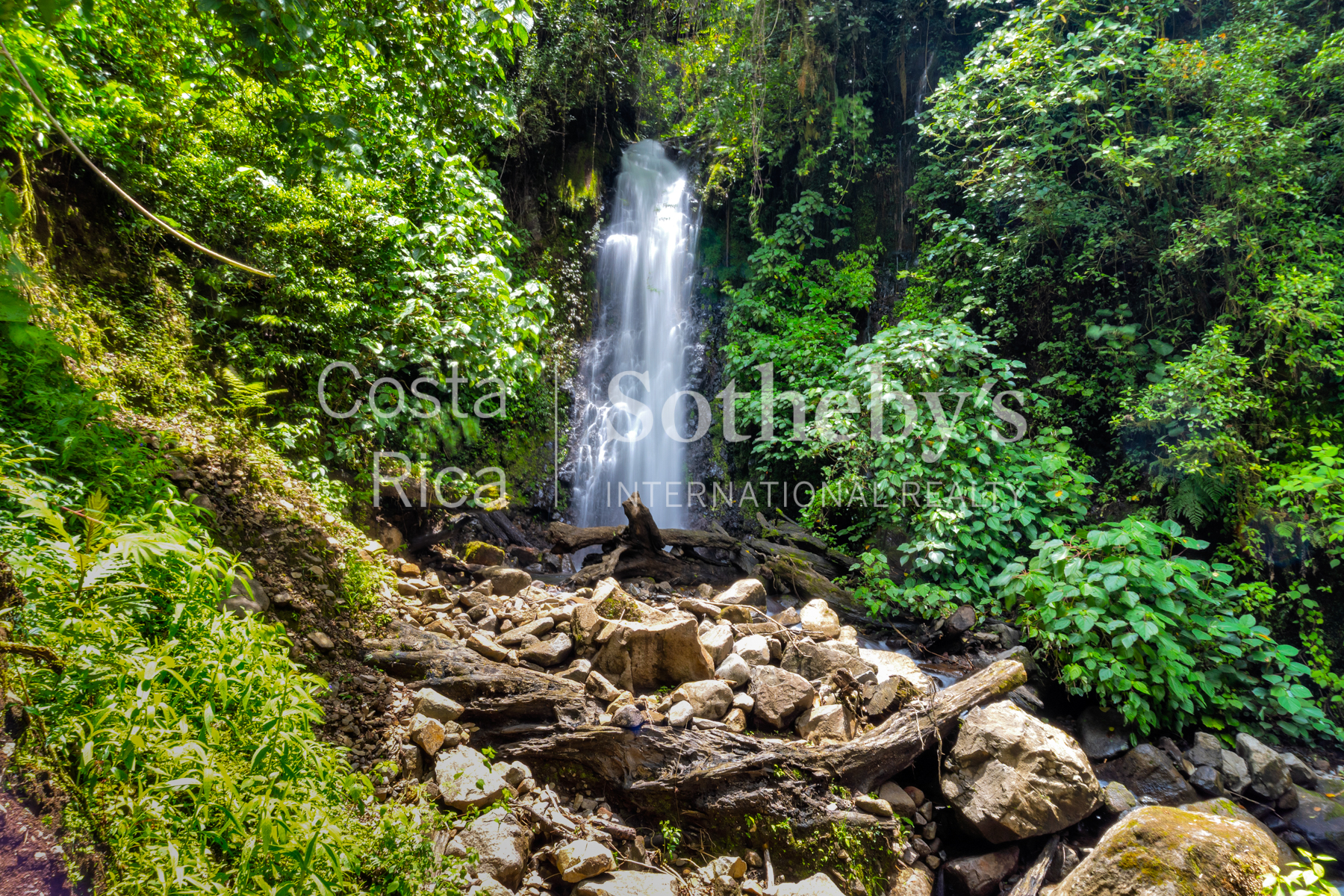  Centro Científico para la Conservación Bosque de Paz - 物件實景