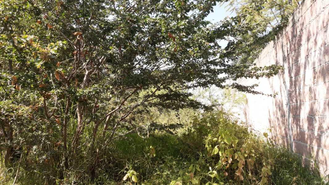 5 DE MAYO, Yautepec, Morelos, 62737, Mexico, 1 Bedroom Bedrooms, ,Residential,For Sale,5 DE MAYO,1444065