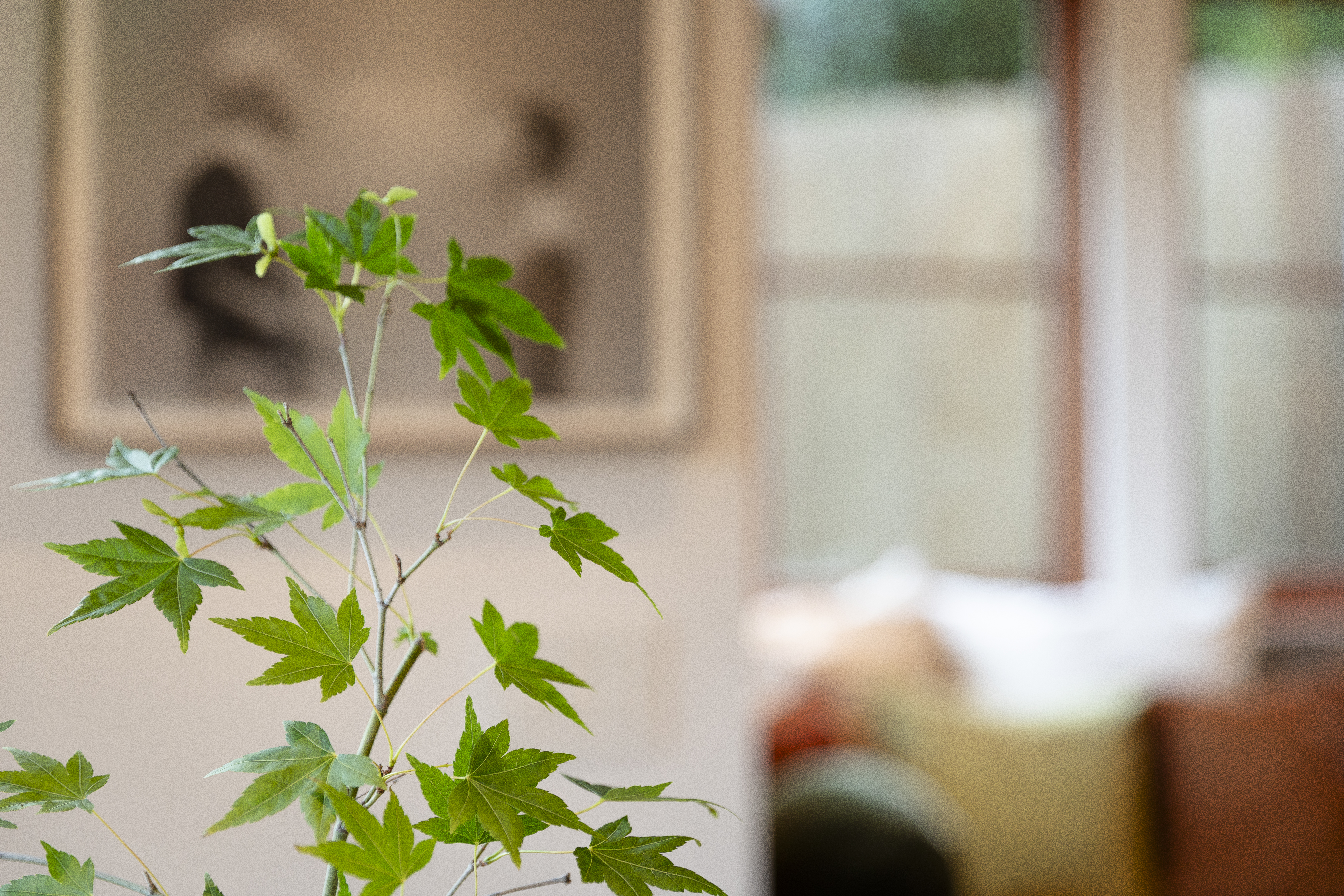  Refined Sensibility in Stinson Beach - 物件實景