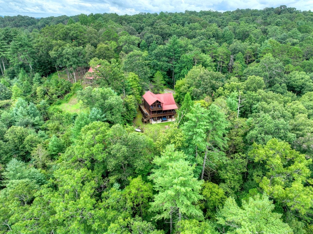 Ellijay, Georgia, 30540, United States, 3 Bedrooms Bedrooms, ,3 BathroomsBathrooms,Residential,For Sale,1916949
