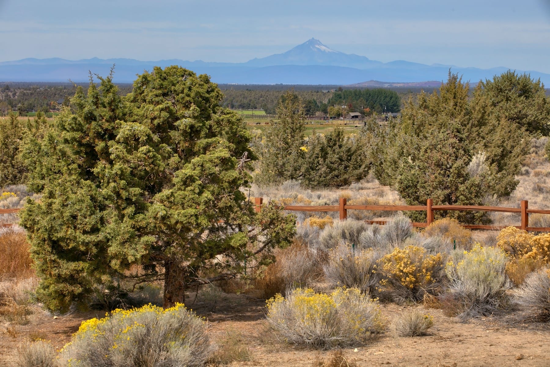  8798 SW Talarus Trail Powell Butte, OR 97753 - 物件實景