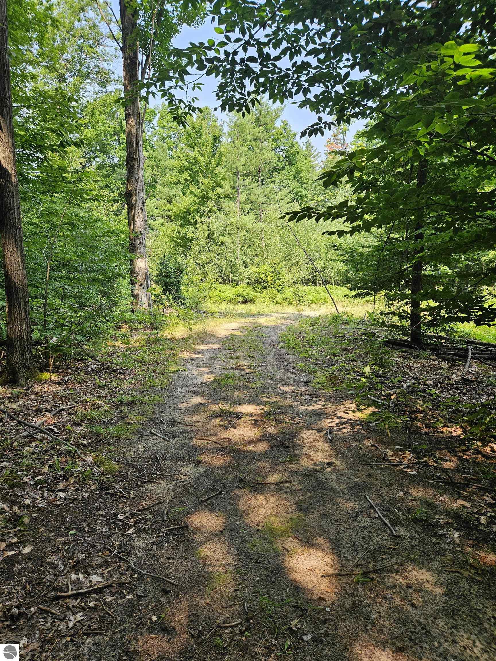 Williamsburg, Michigan, 49690, United States, ,Land,For Sale,1906031