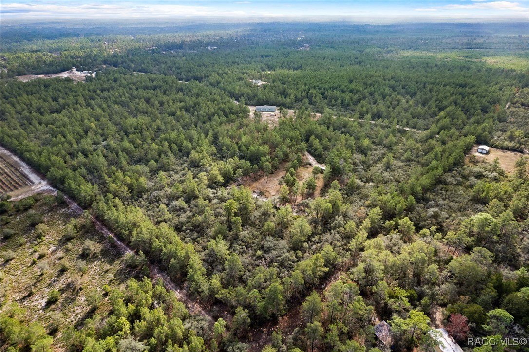 Dunnellon, Florida, 34433, United States, 4 Bedrooms Bedrooms, ,3 BathroomsBathrooms,Residential,For Sale,2008614