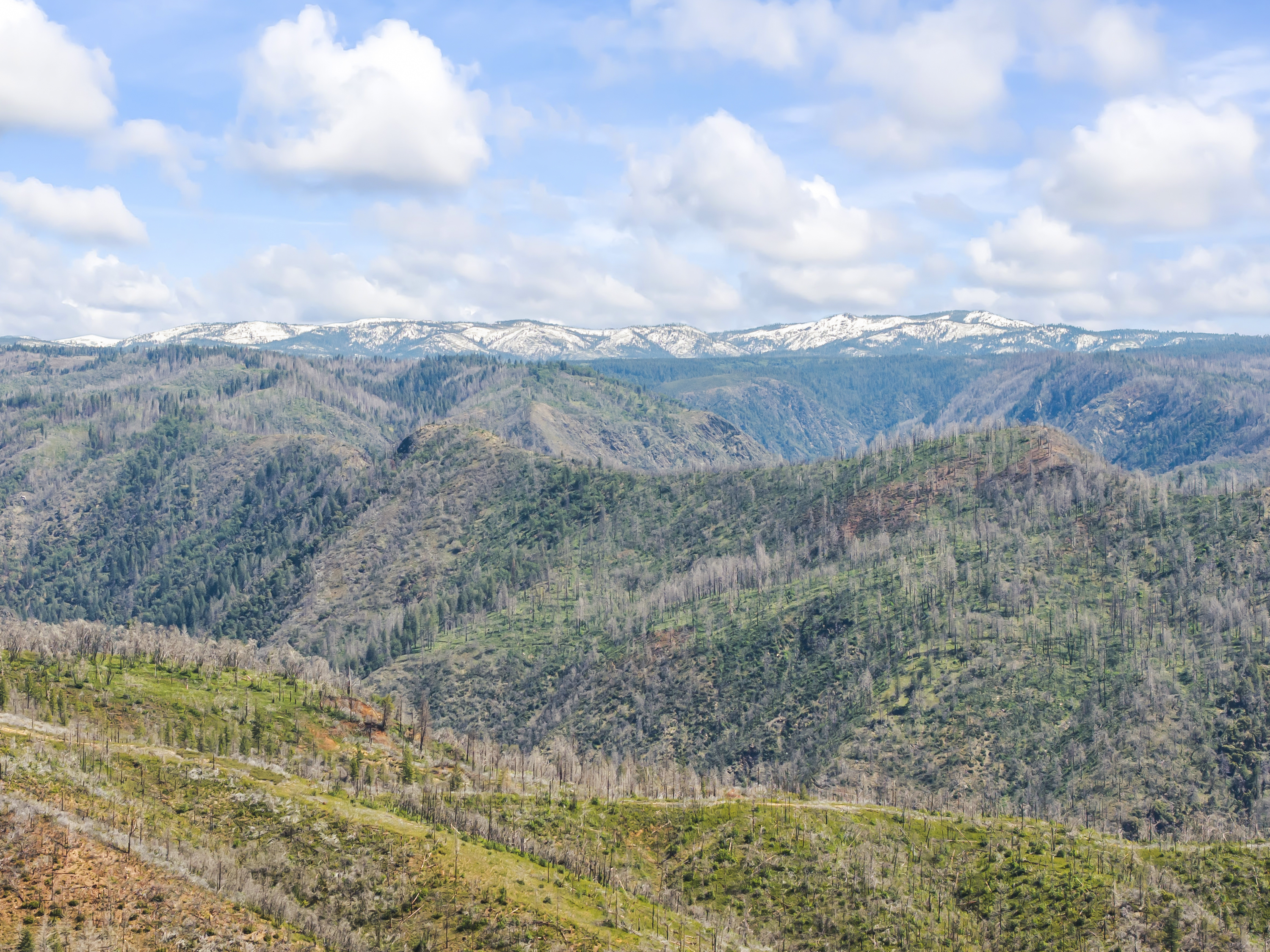  30155 Turkey Hill Road, Foresthill, CA 95631 - 物件實景