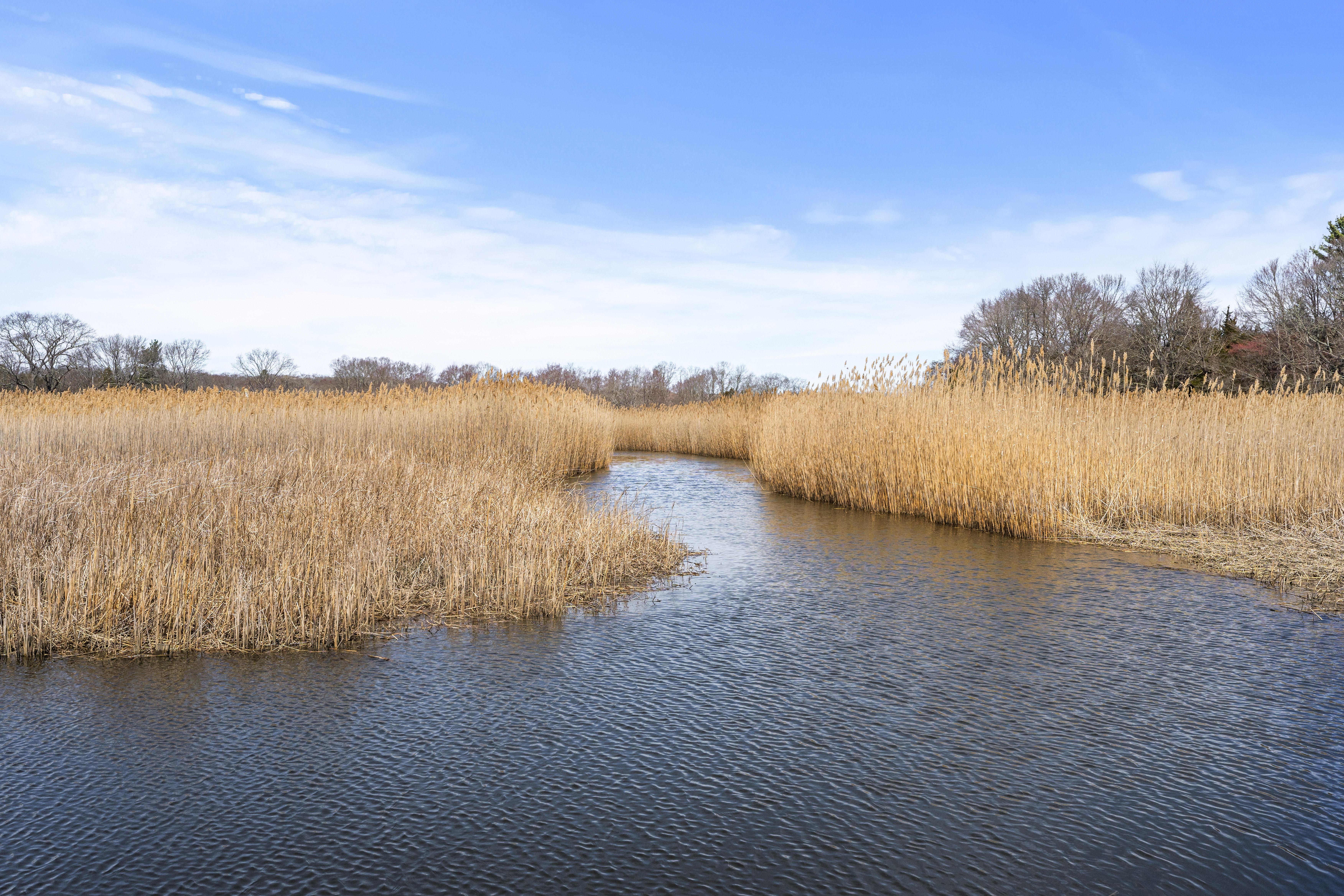  Incredible Opportunity in Old Lyme - 物件實景