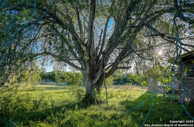Beeville, Texas, 78102, United States, ,Land,For Sale,1988302