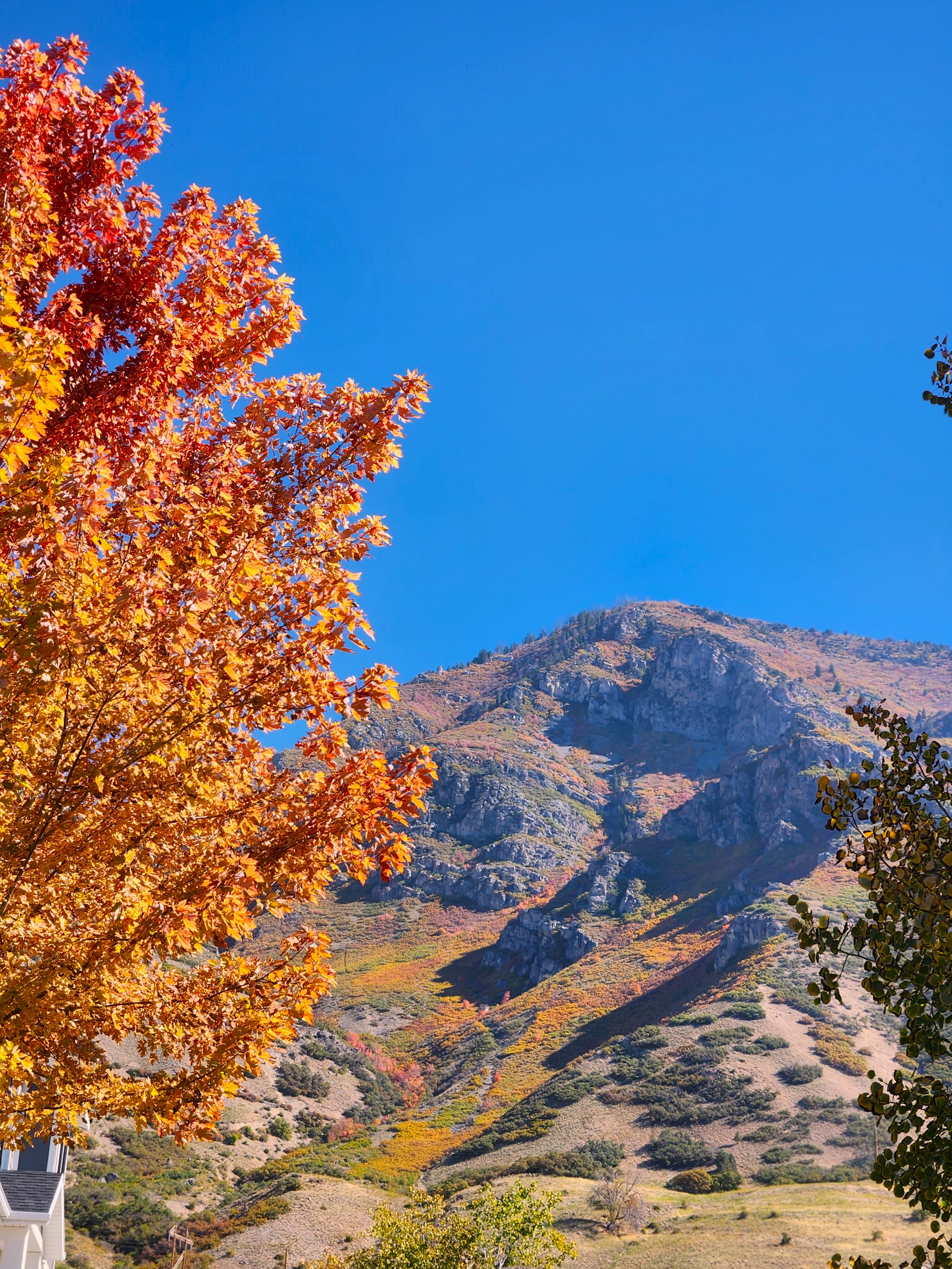 Provo, Utah, 84606, United States, 5 Bedrooms Bedrooms, ,2 BathroomsBathrooms,Residential,For Sale,2002549