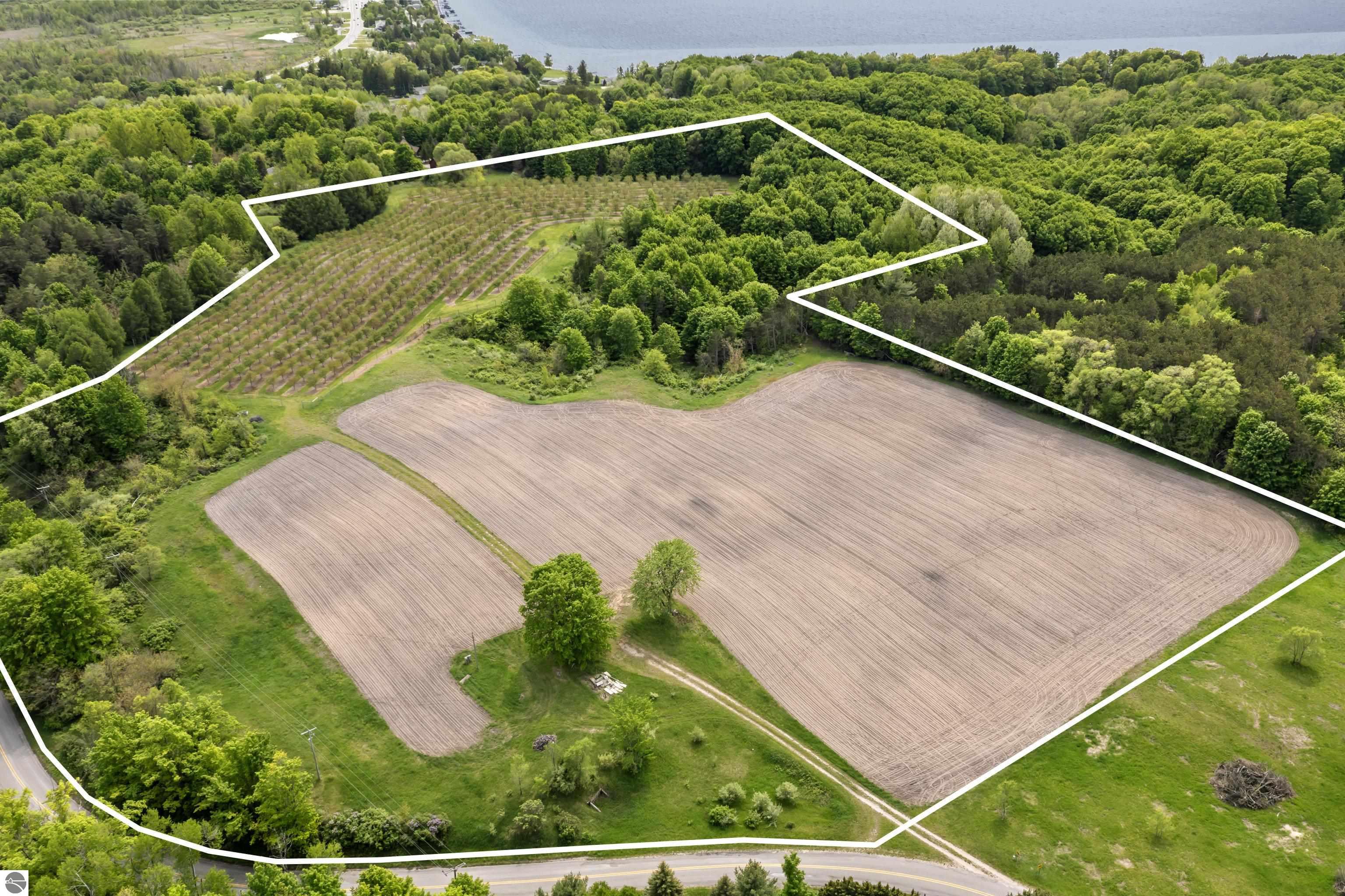 Beulah, Michigan, 49617, United States, ,Land,For Sale,1938552