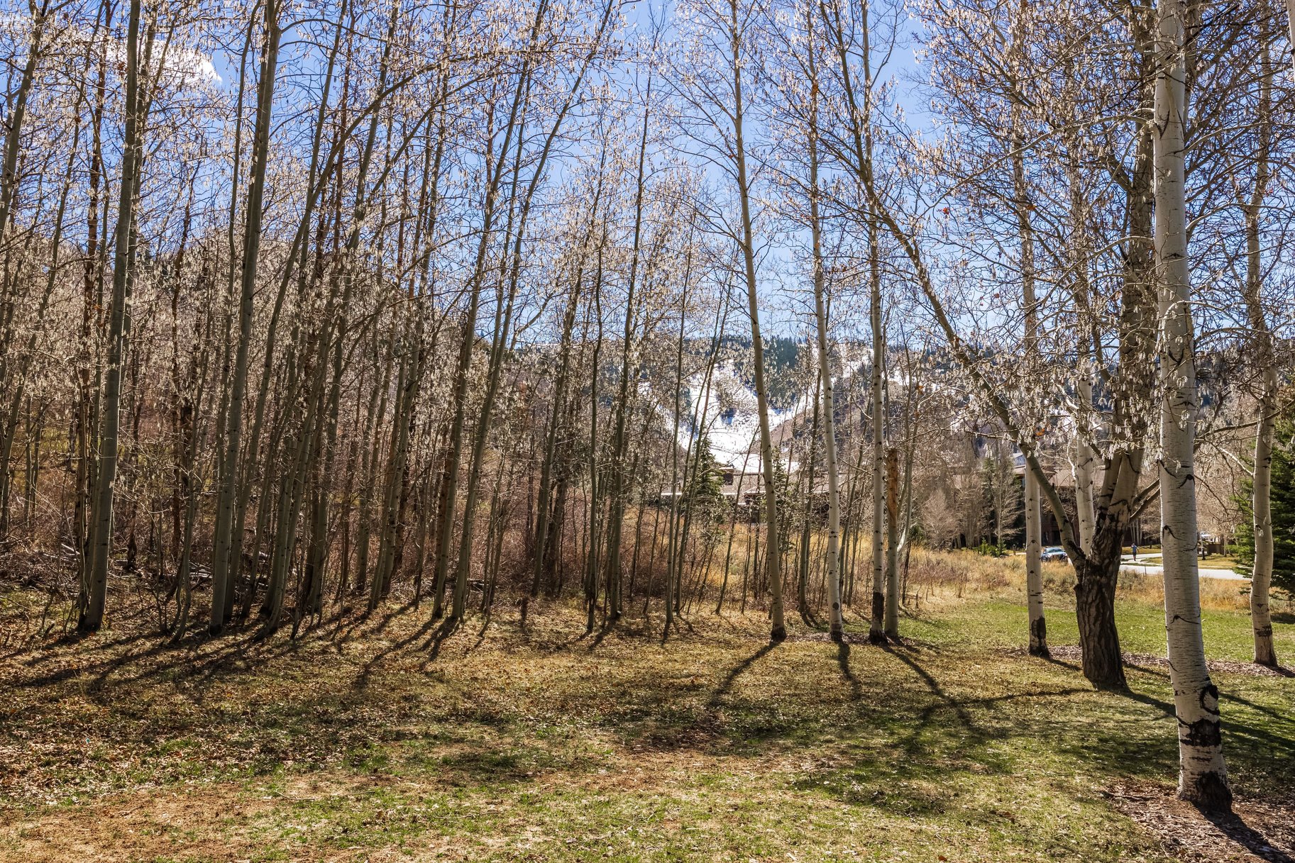  Refined and Fabulous 3-Bedroom Townhome in Lower Deer Valley - 物件實景