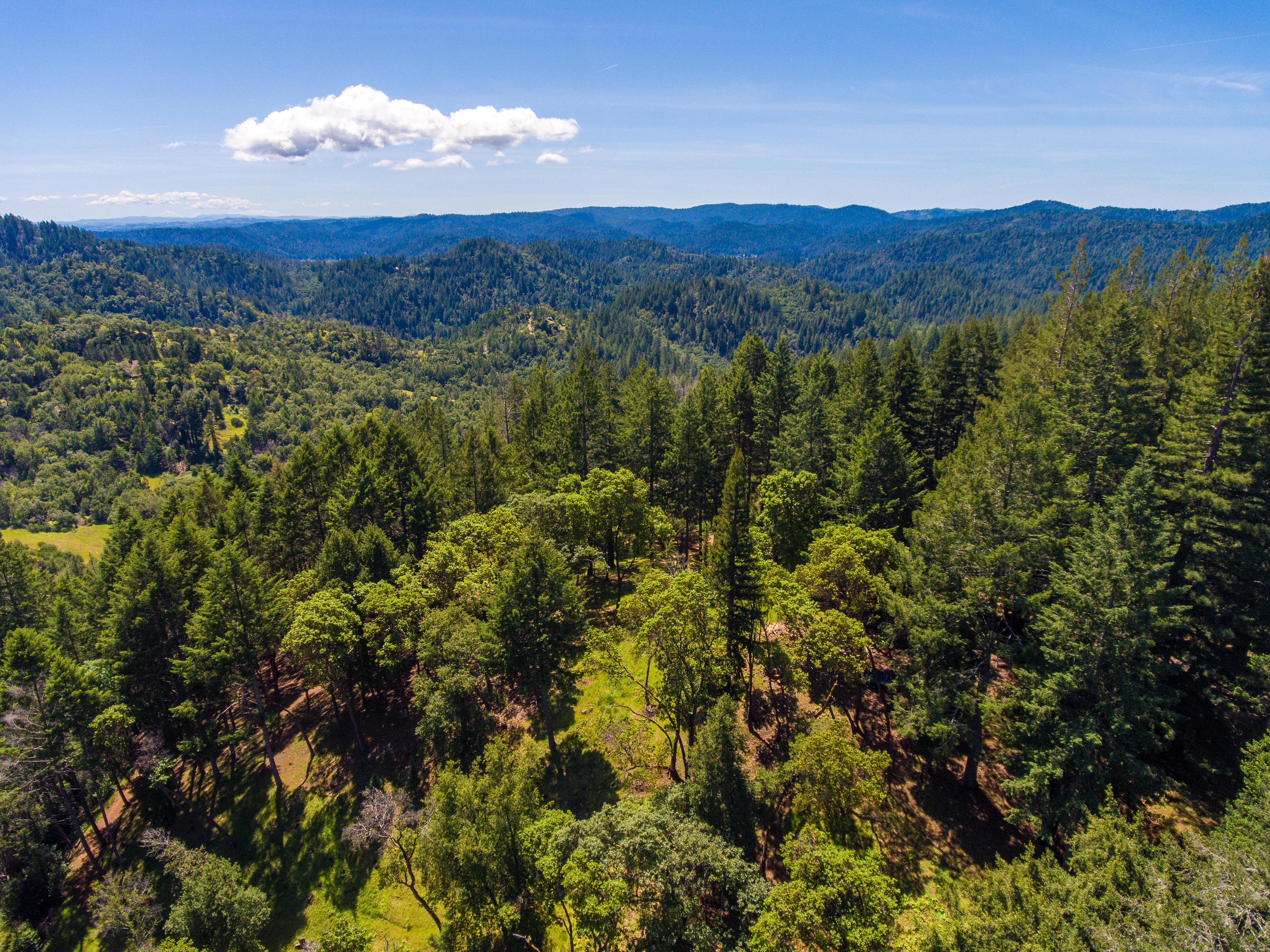  18900 Armstrong Woods Road, Guerneville, CA 95446 - 物件實景