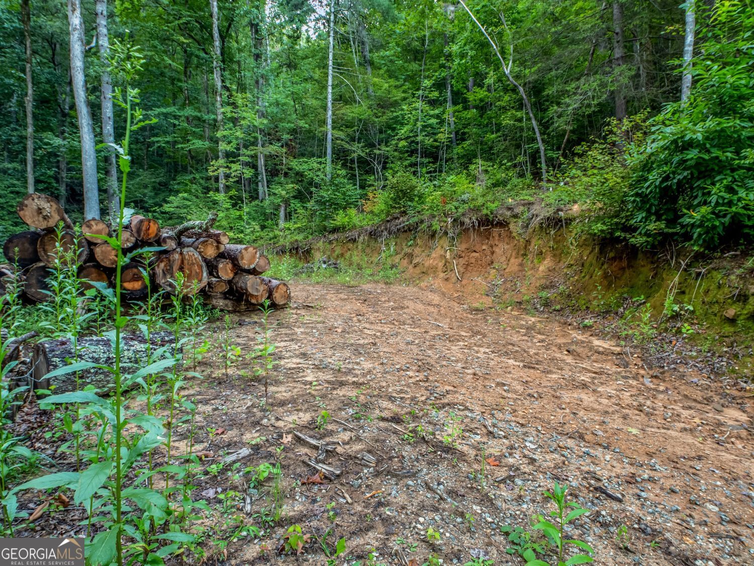 Clayton, Georgia, 30525, United States, ,Land,For Sale,1952018