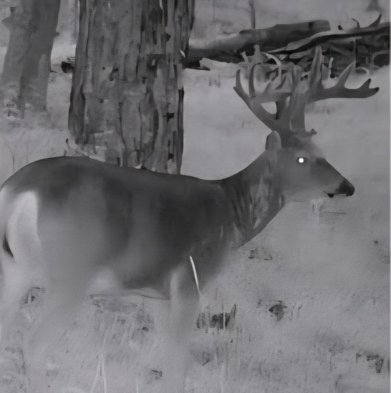 Chetek, Wisconsin, 54728, United States, 2 Bedrooms Bedrooms, ,2 BathroomsBathrooms,Residential,For Sale,1939272