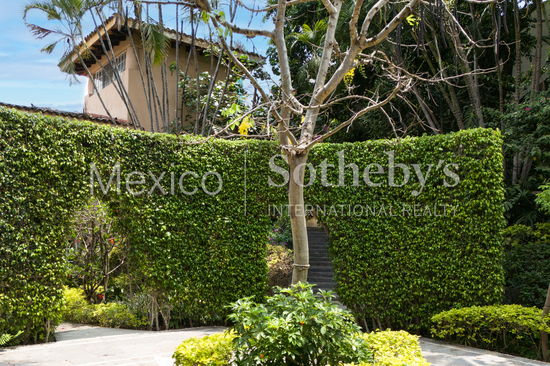  Casa Vergel Cuernavaca - 物件實景